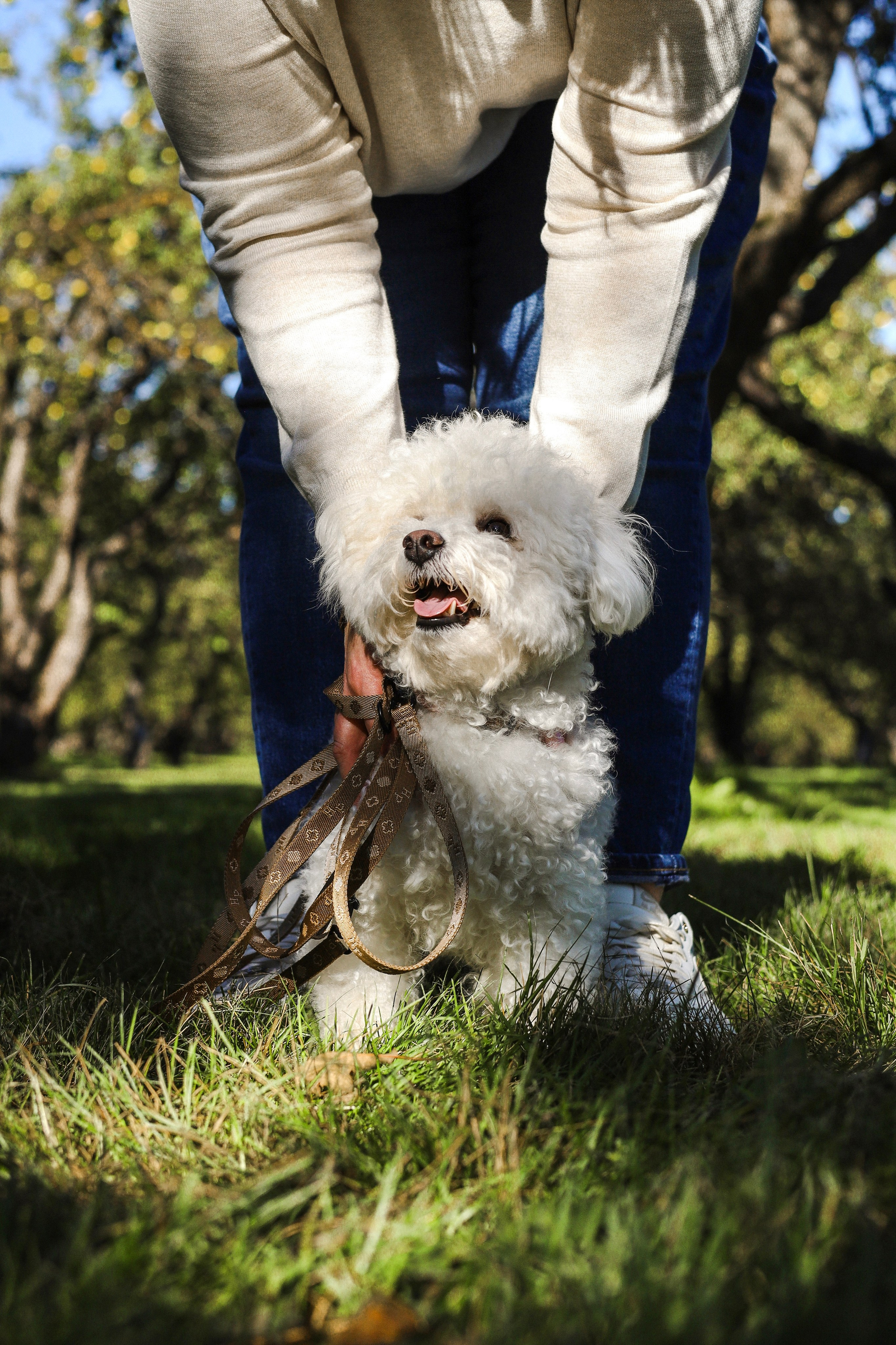 Тимоша, Катя и Вова. Фотограф-анималист Ксения Шевцова|Москва