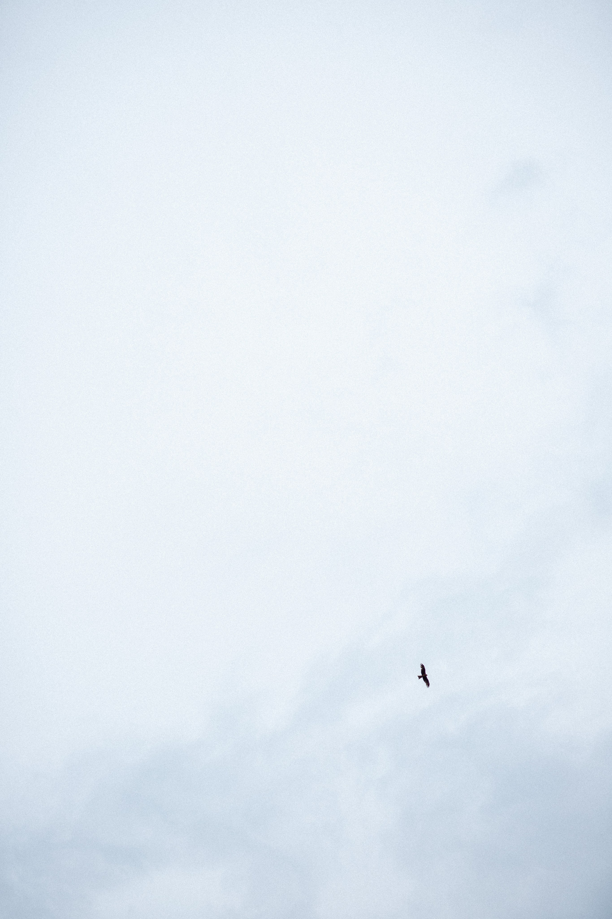 Лилия. Фотограф Анастасия Петрова