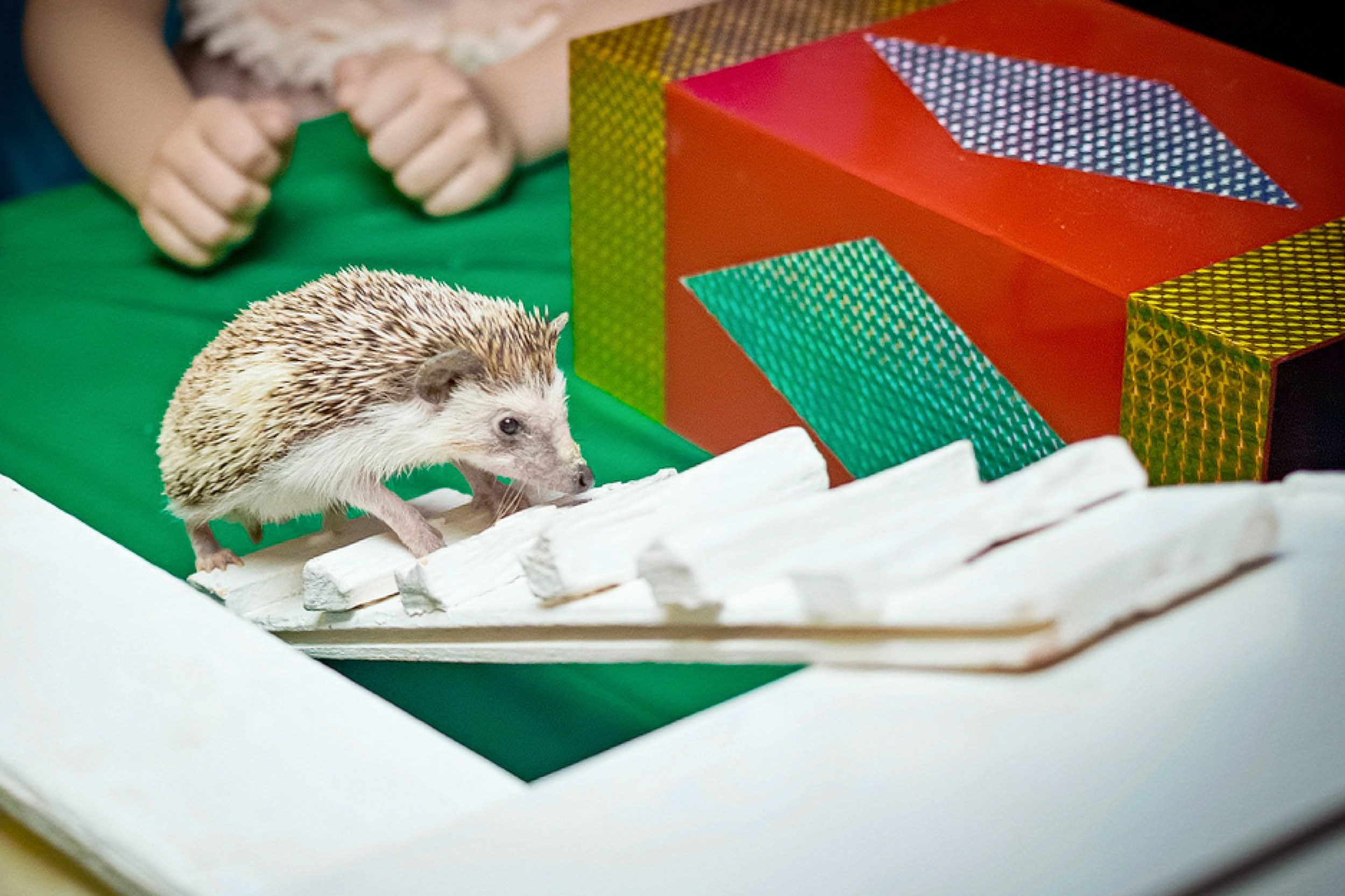 Геворк Багдасаров — фотограф в Москве
