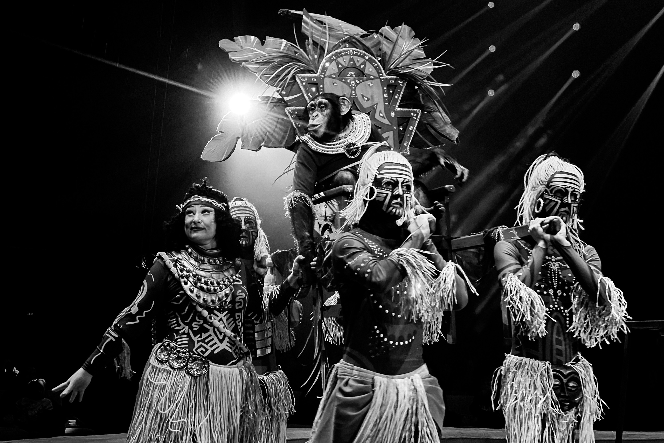 Цирк Братьев Запашных. Фотограф и видеограф Евгений Романов Санкт-Петербург