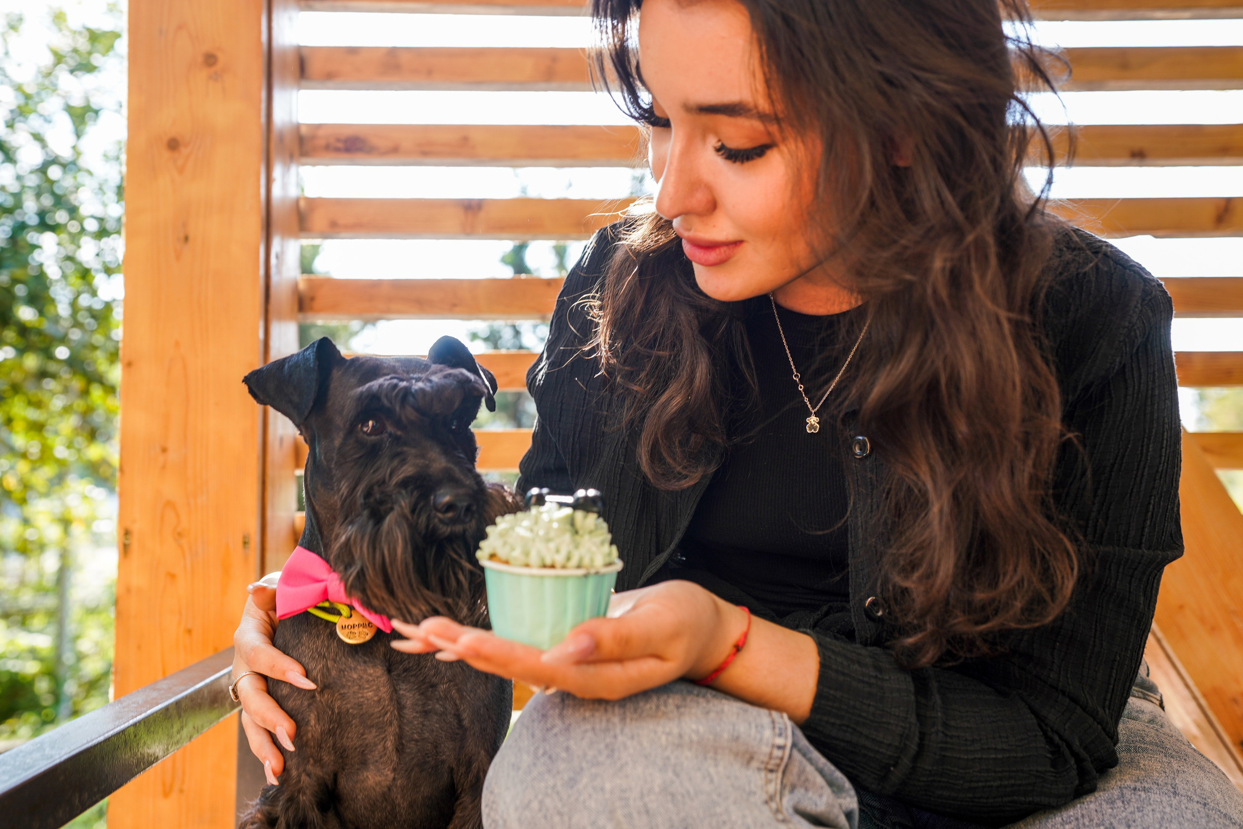 ДР собаки по имени Моррис :). Фотограф Казань