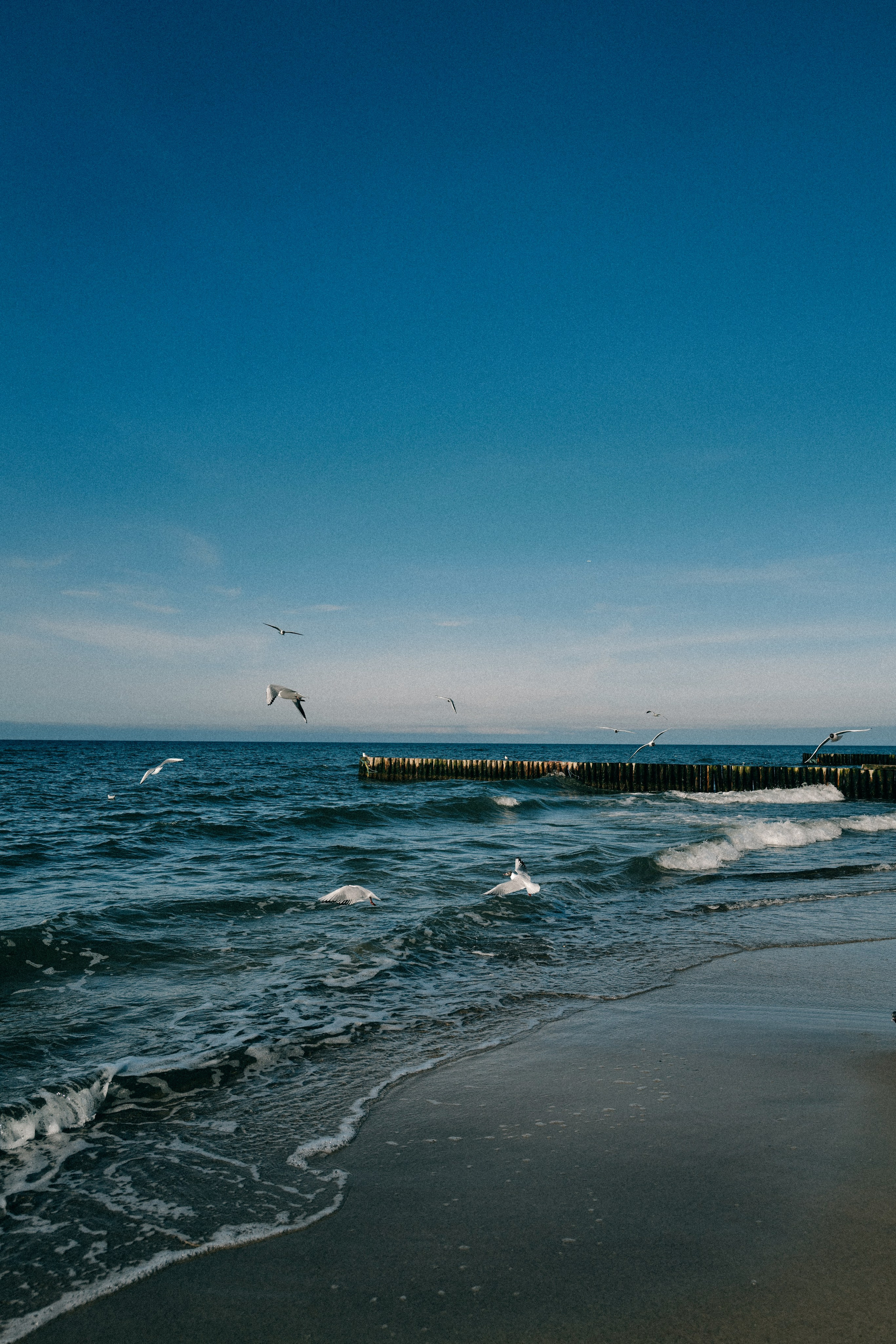 Zelenogradsk. Фотограф София Комкина