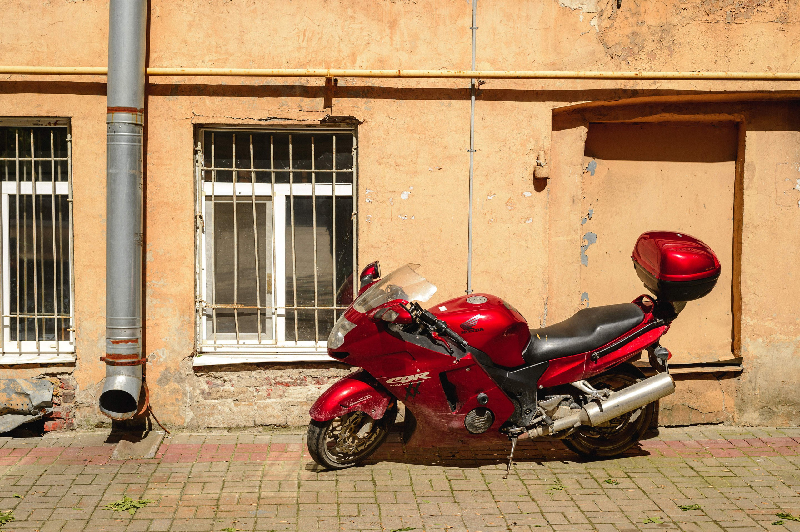 2025.06. Фотограф Алексей Алексеев