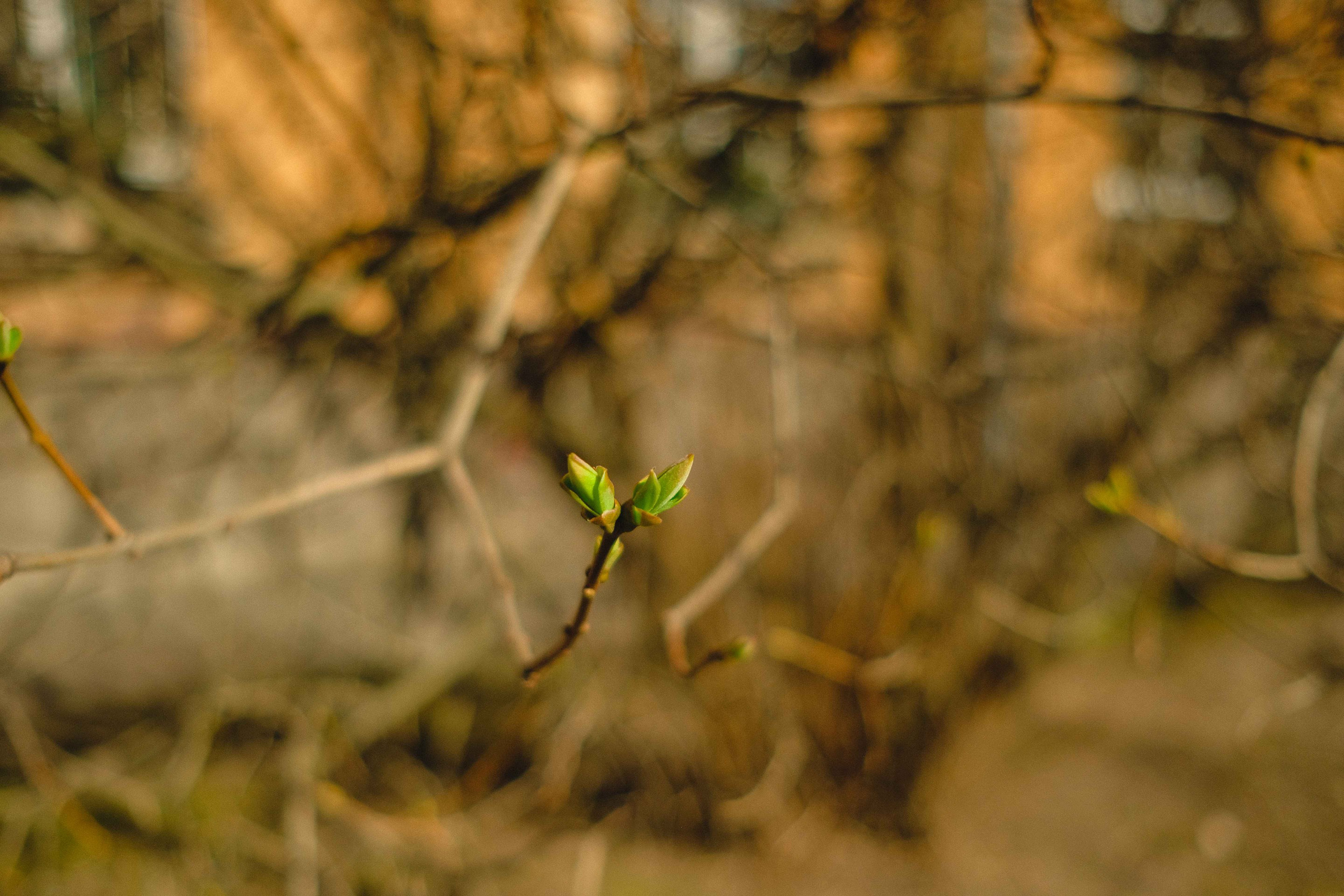 2022.04. Фотограф Алексей Алексеев
