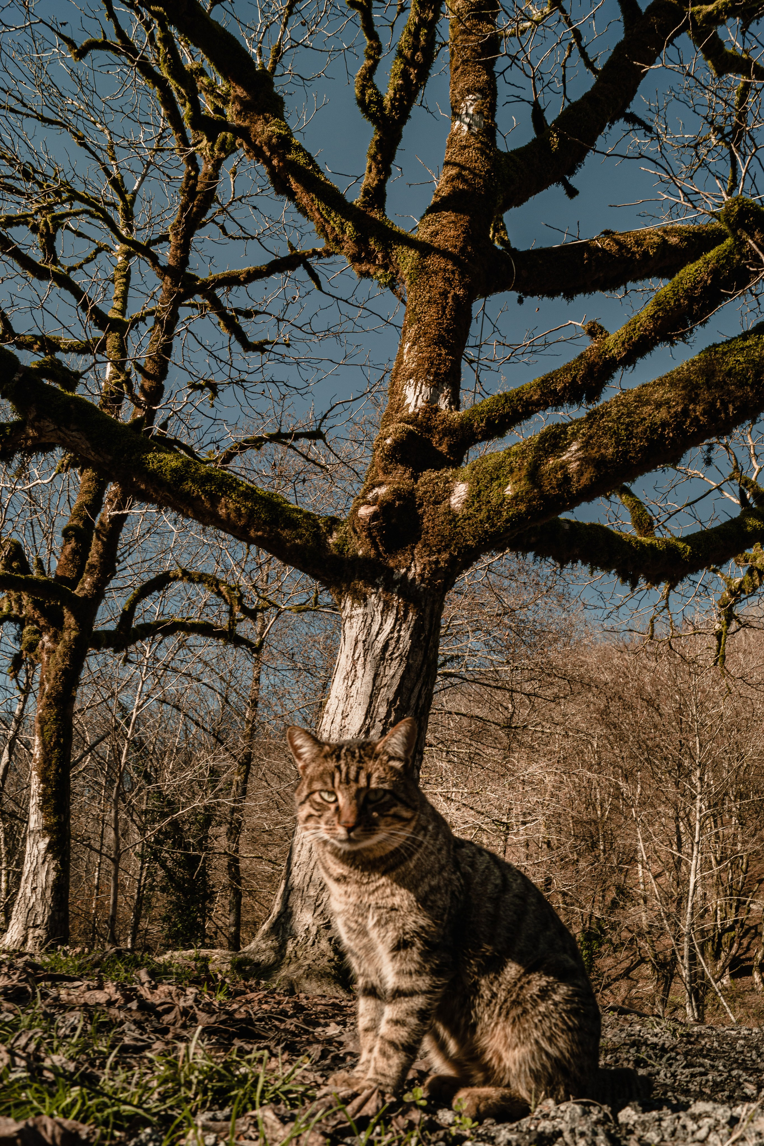 Фотографии Сочи, глазами гида-фотографа. Фотограф в Сочи Елена Лисотина. Фототуры в Сочи