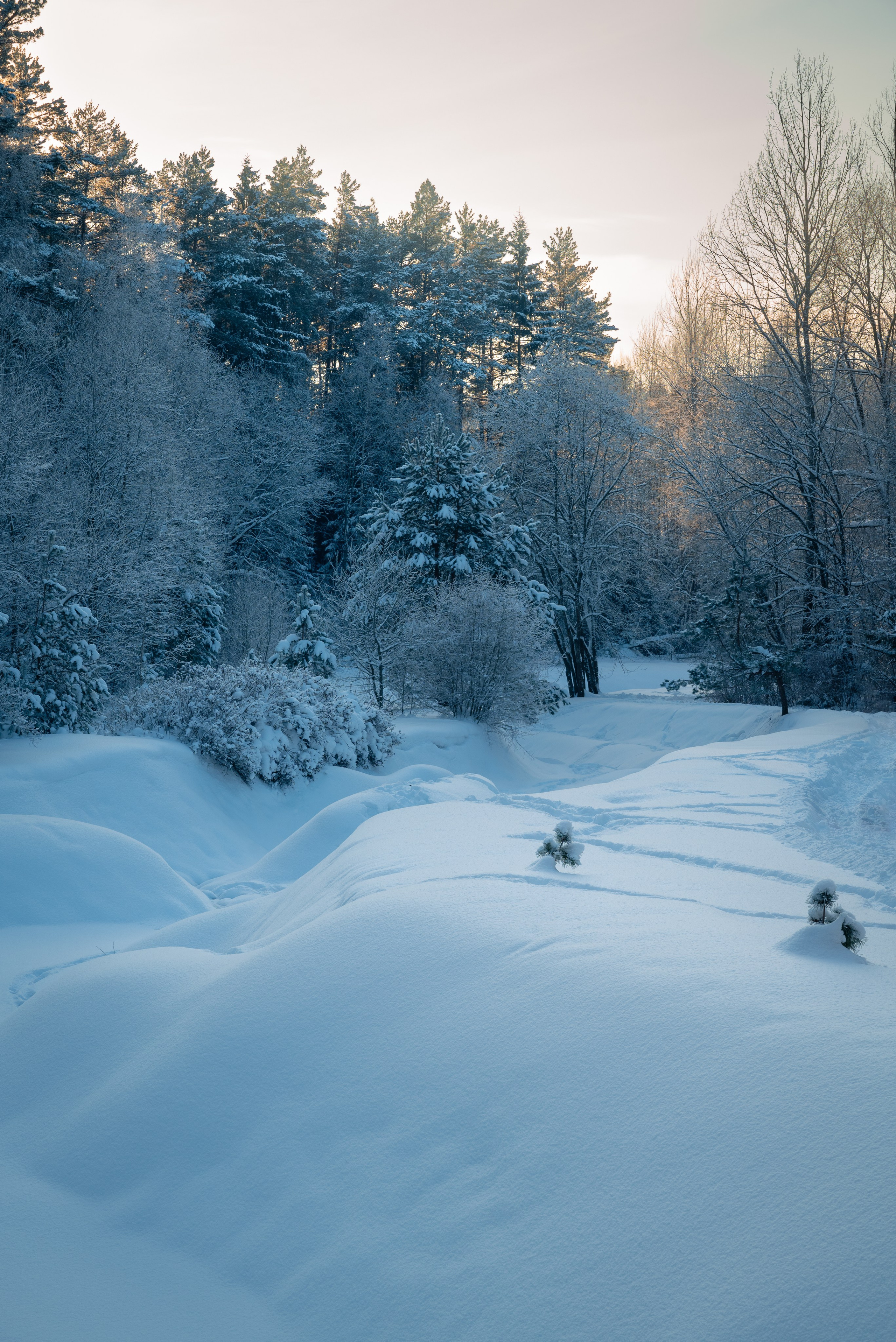 Места. Фотограф в Минске Дарья Кончакова
