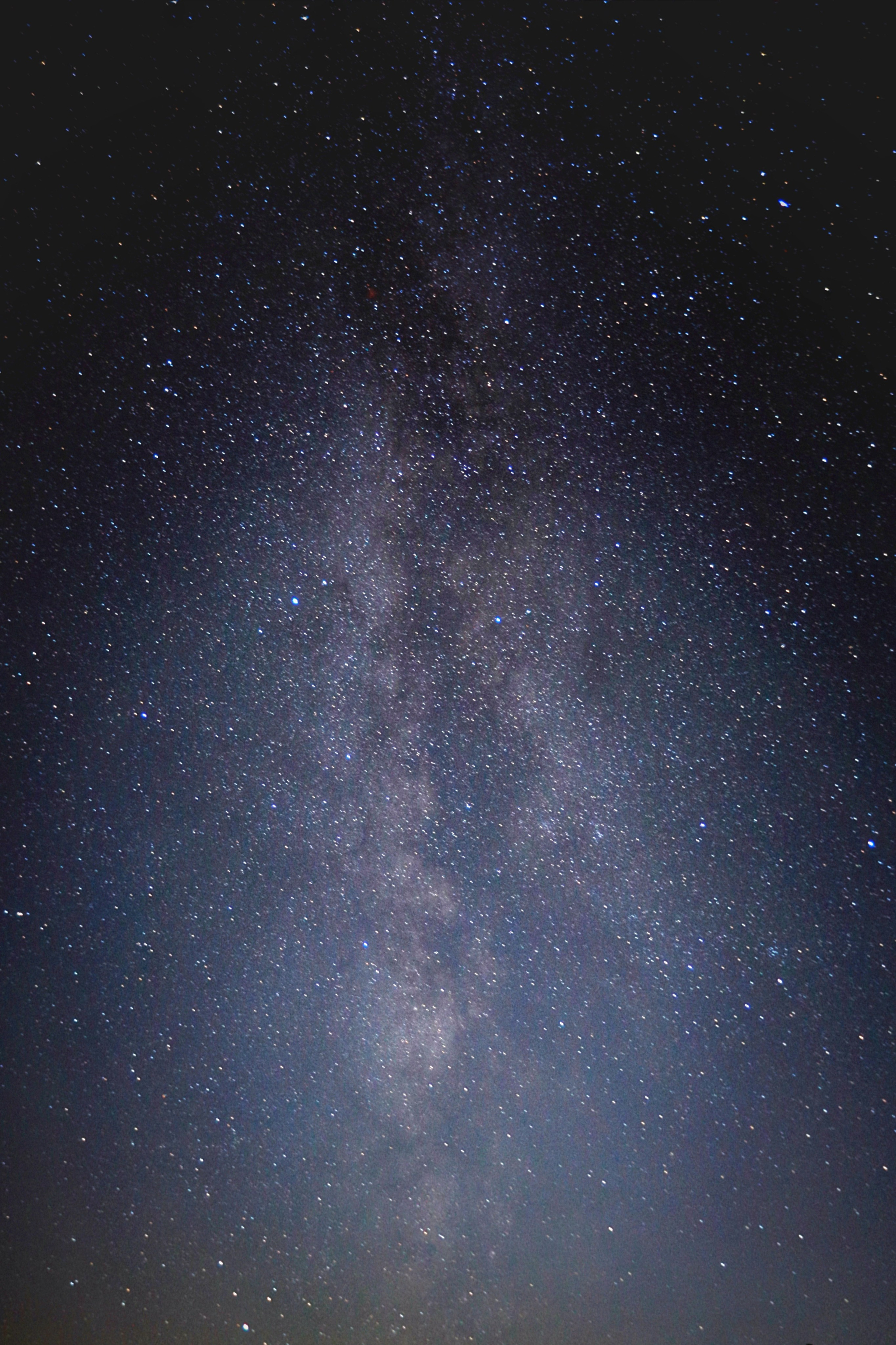 2019 год. Тащилин Сергей. Фотографии. Жизнь. Хобби