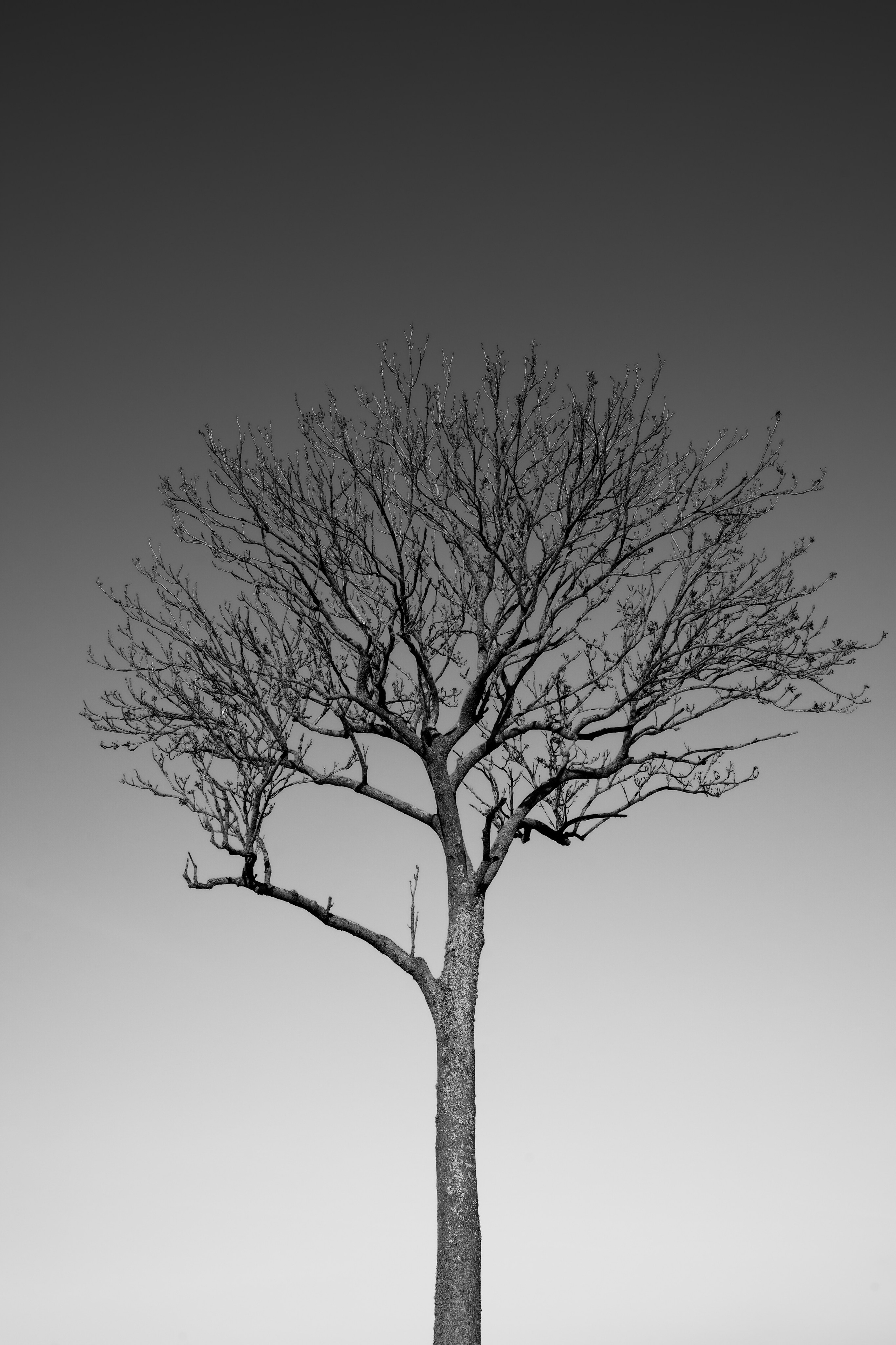 Живет художник. Arseniy Karchevskiy I Photographer