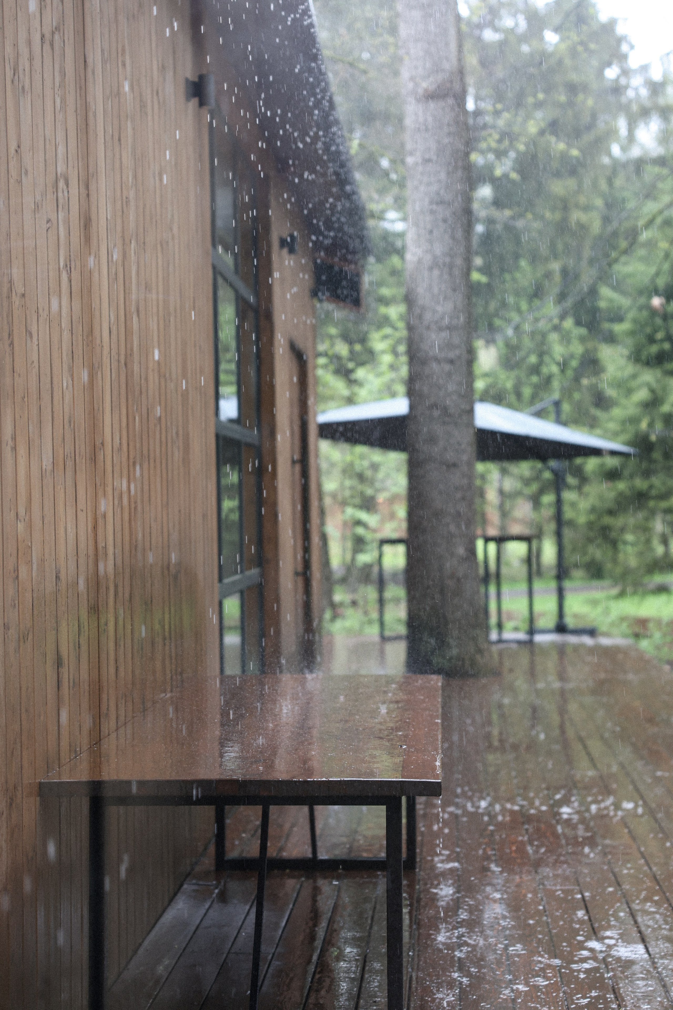 Света и Артем. Свадебный, репортажный, фотограф Москва и Московская область