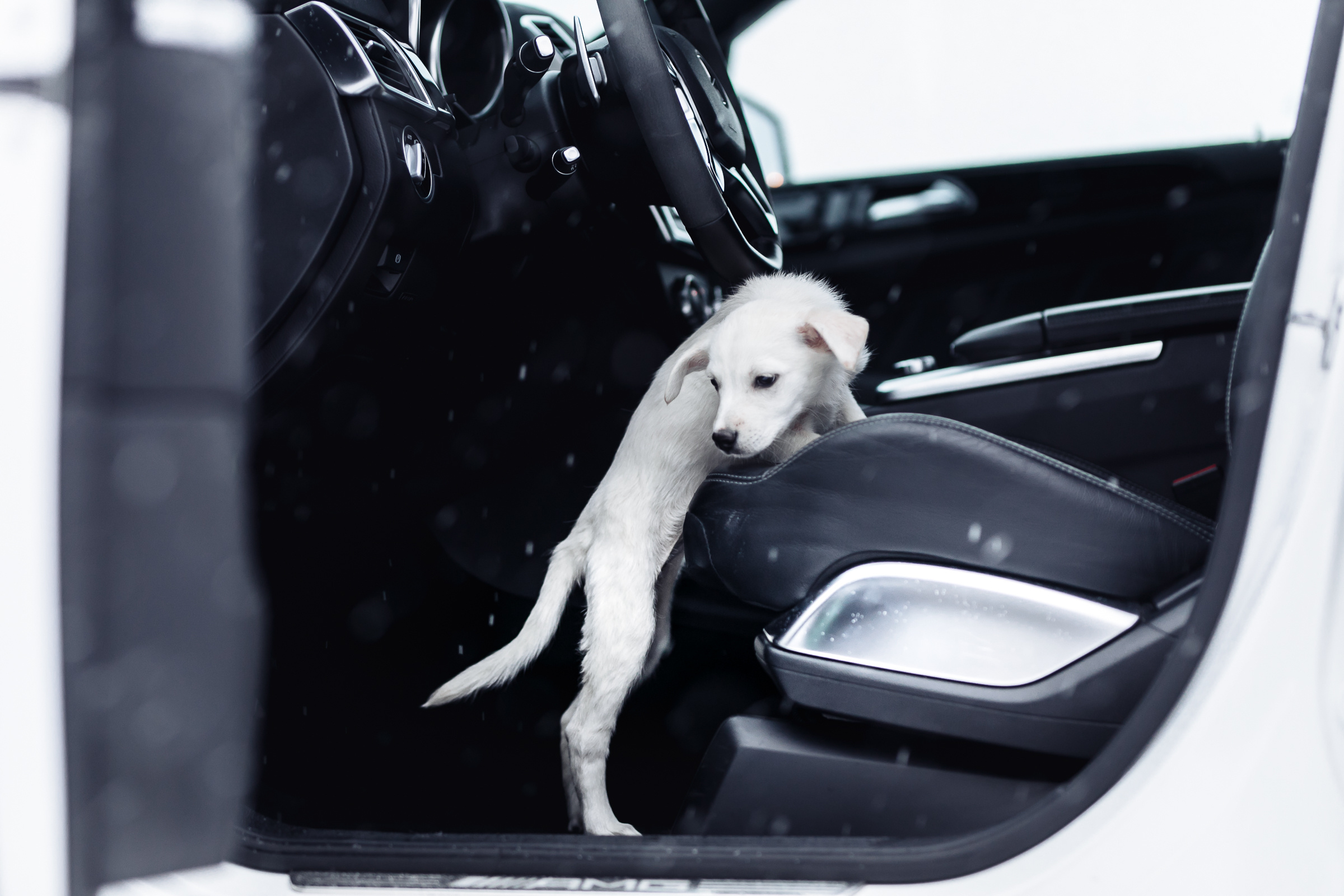 GL. Репортажный фотограф Александр Задорин, Минск, Беларусь