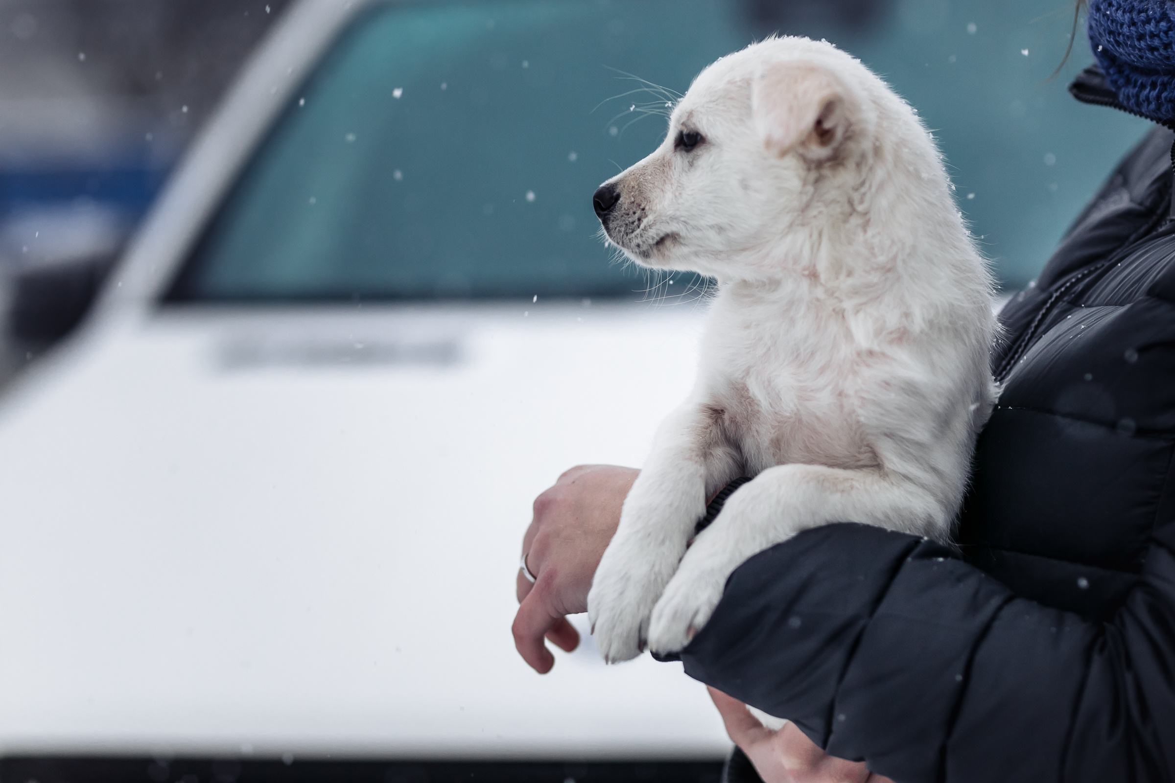 GL. Репортажный фотограф Александр Задорин, Минск, Беларусь