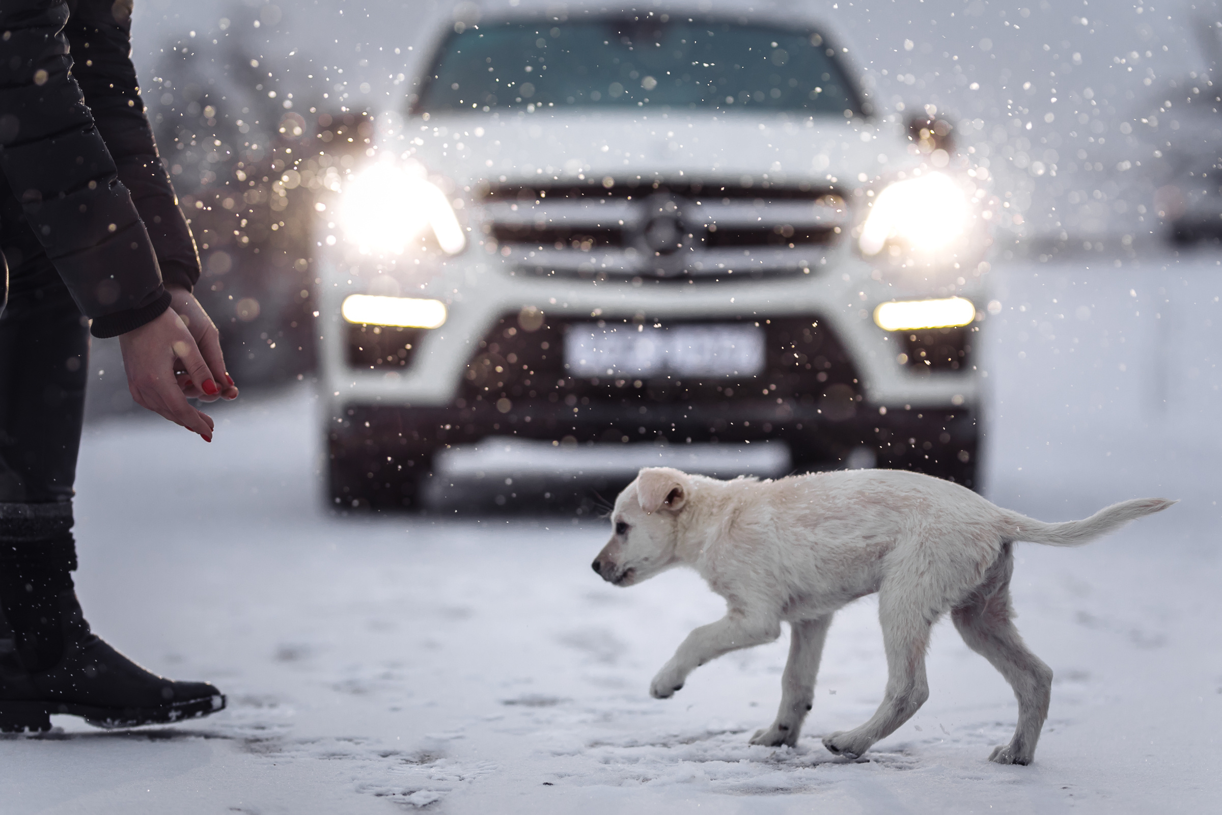 GL. Репортажный фотограф Александр Задорин, Минск, Беларусь