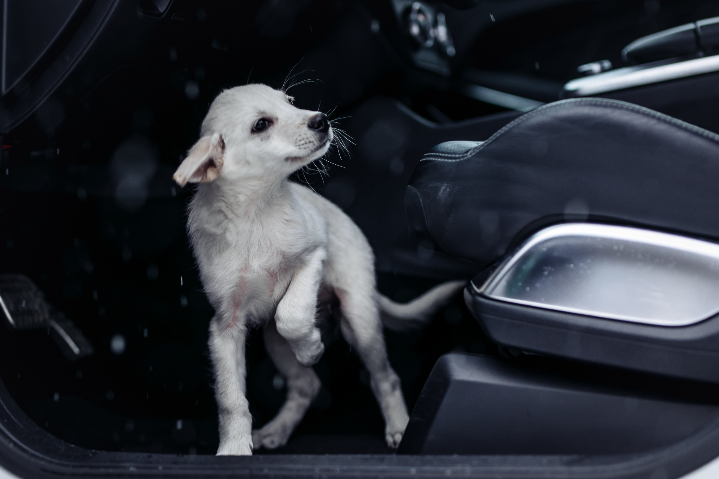 GL. Репортажный фотограф Александр Задорин, Минск, Беларусь