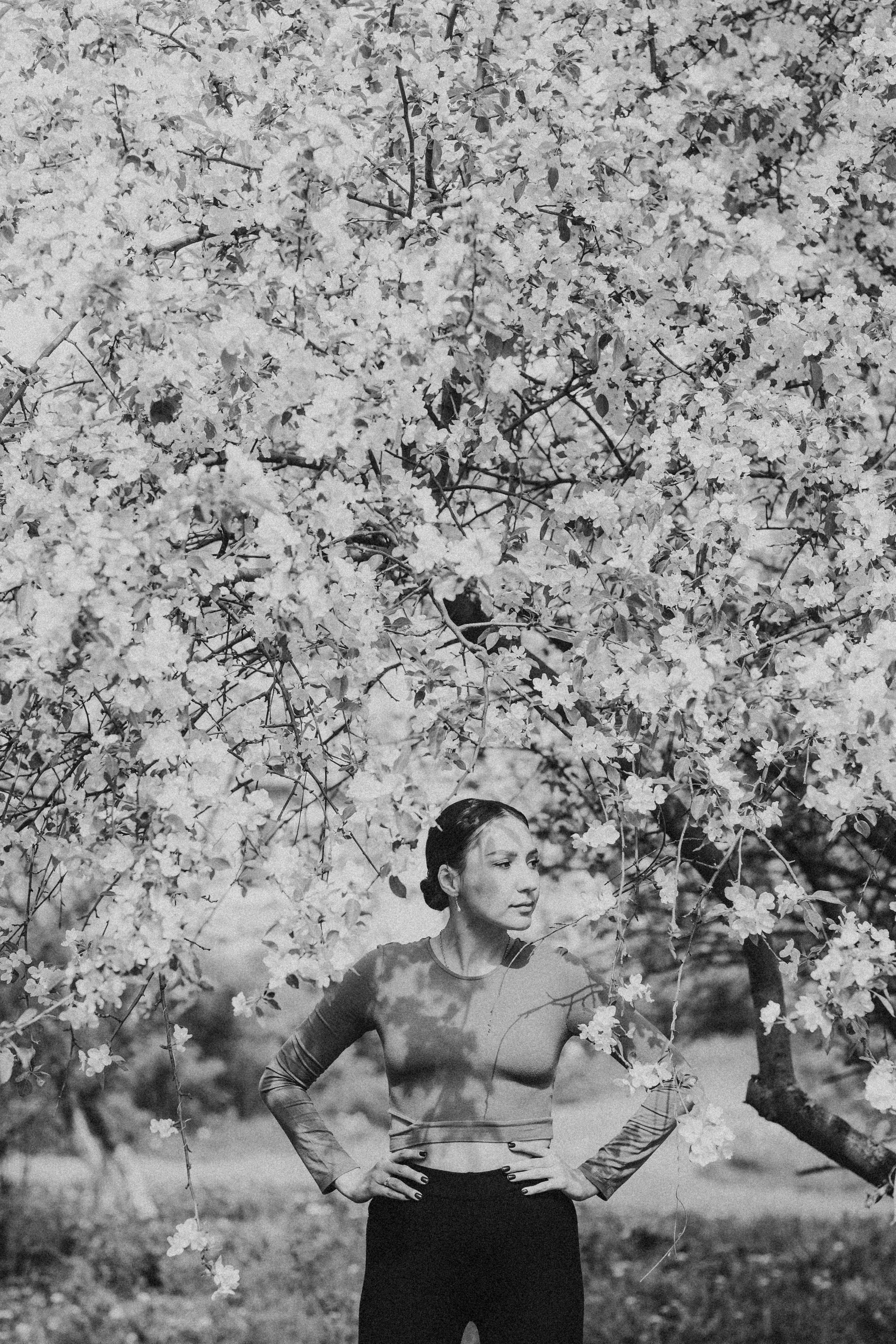 Дайана. Свадебный и семейный фотограф в городах Уфа и Стерлитамак