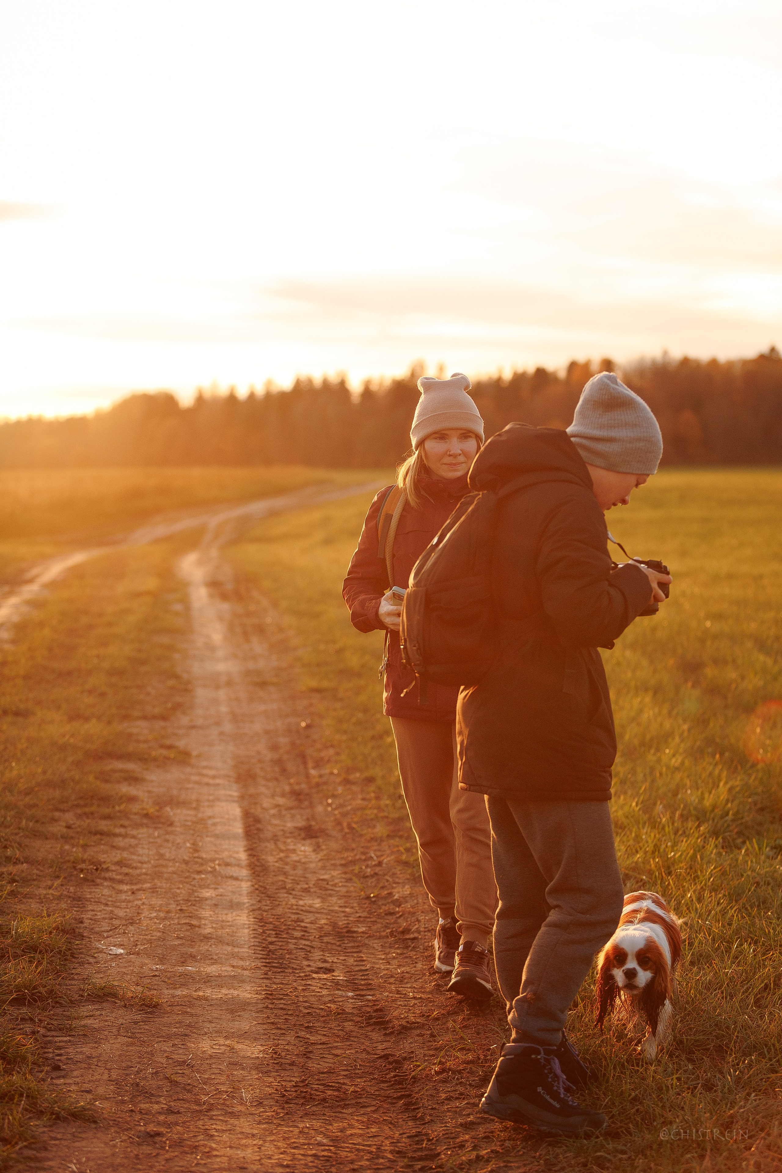 Октябрьский закат в полях. Алина и Лео. Фотограф-анималист Наталия Чистюхина в г. Сосновый Бор и ЛО