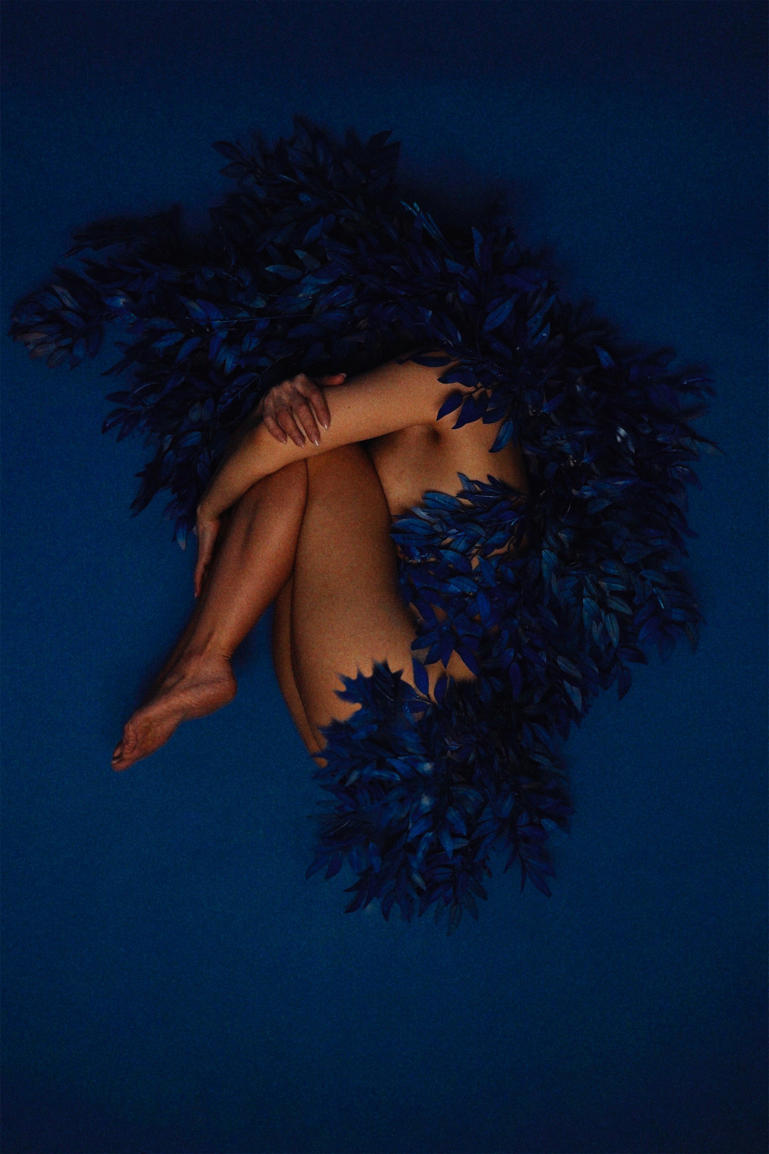 Художественная. Главная