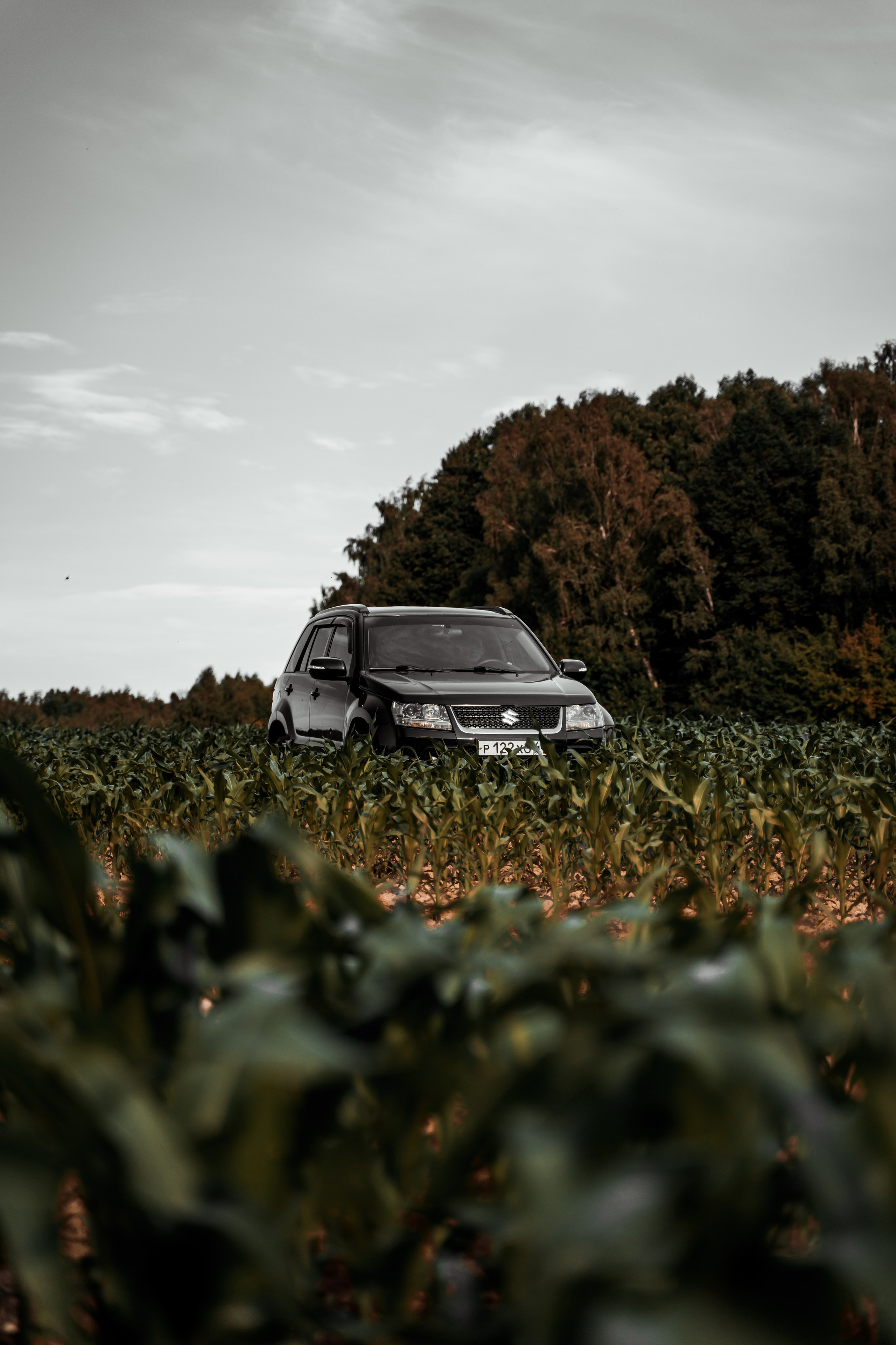 Suzuki Grand Vitara. Vlad Trykov