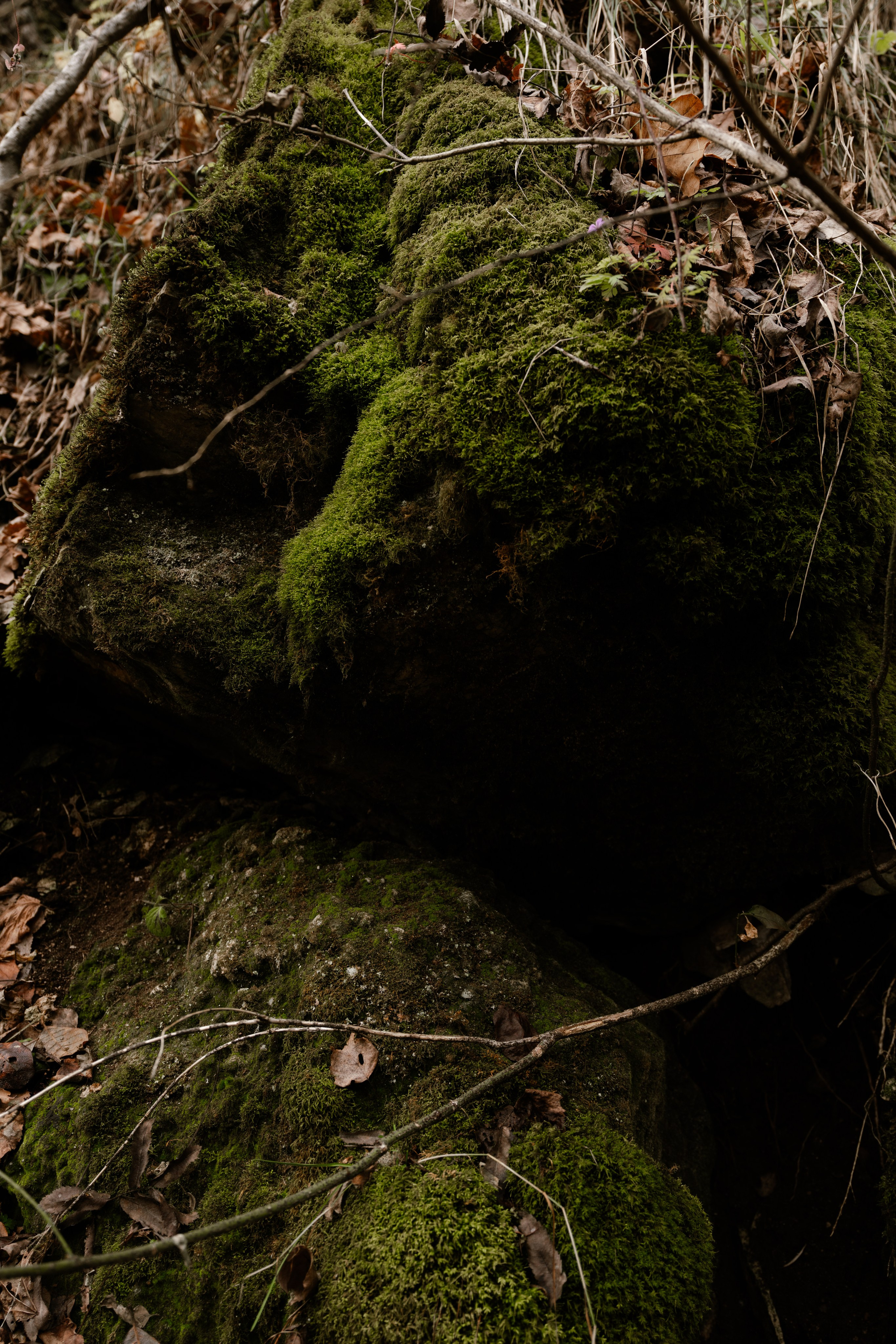 Кольцовские пещеры. Vlad Trykov