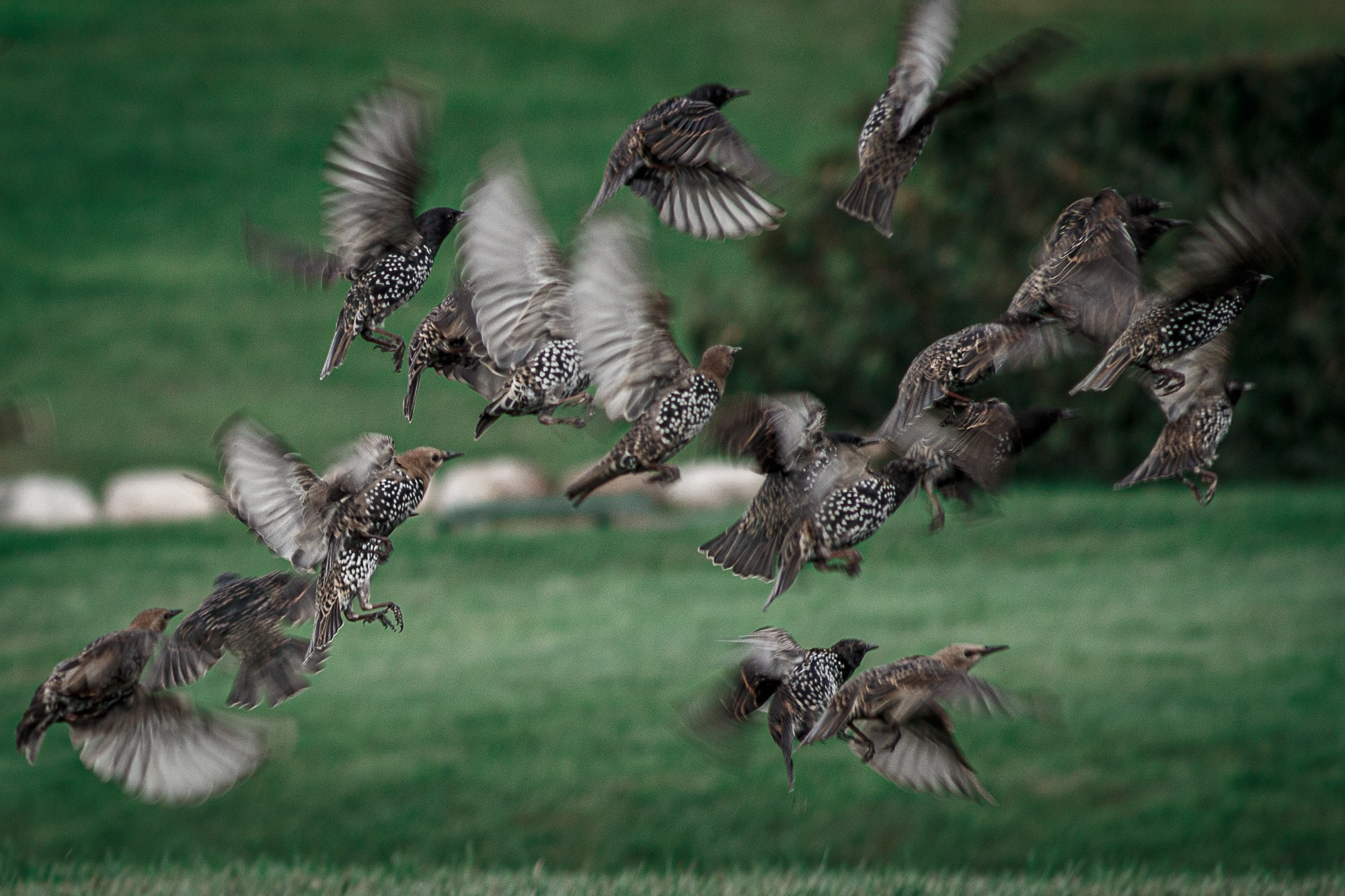Разное (для тех, кто долистал). Портретный, интерьерный и фуд фотограф в Перми Иван Вострецов