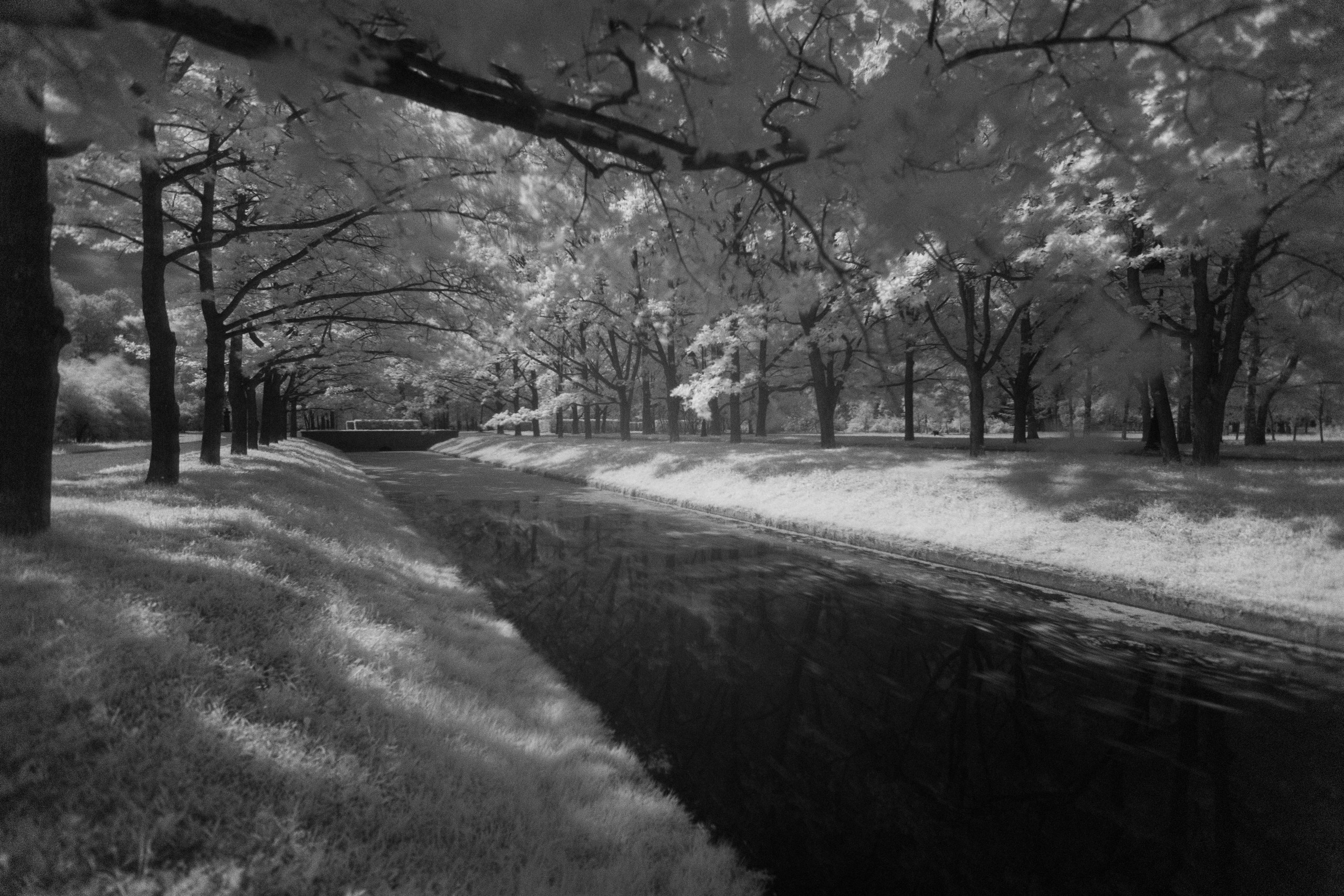 Пейзаж. Фотограф Твердохлебова Дарья, г. Санкт-Петербург