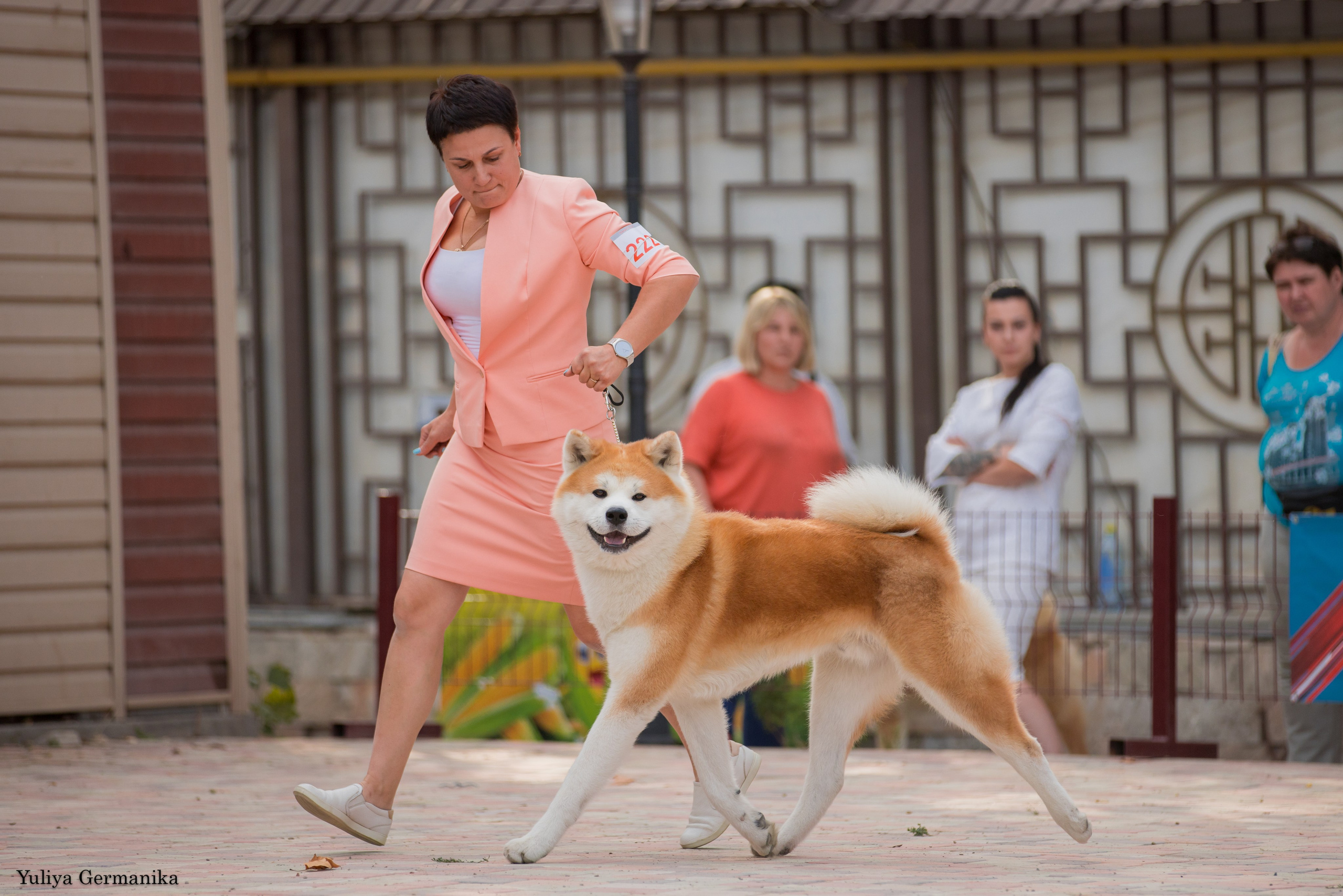 Ташкент 6-8.10.2023 + Алматы 14-15.10.2023. Фотограф-анималист Юлия Германика