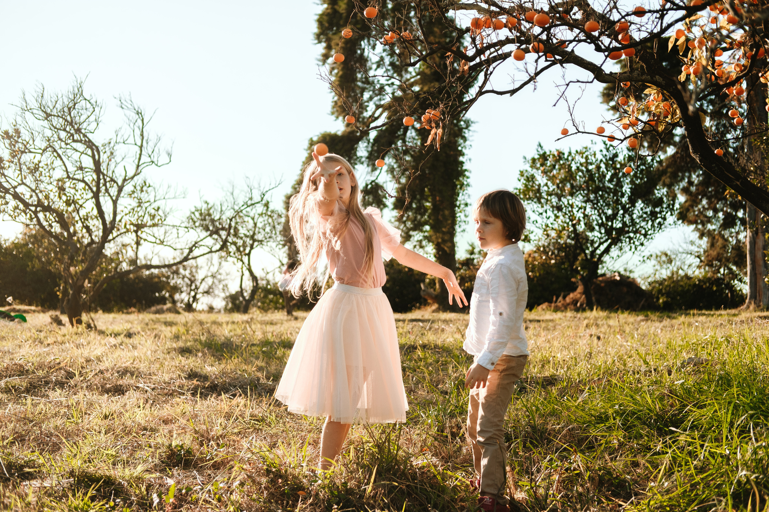 Абхазия|Мандариновый рай. Фотограф на Бали|Свадьба на Бали