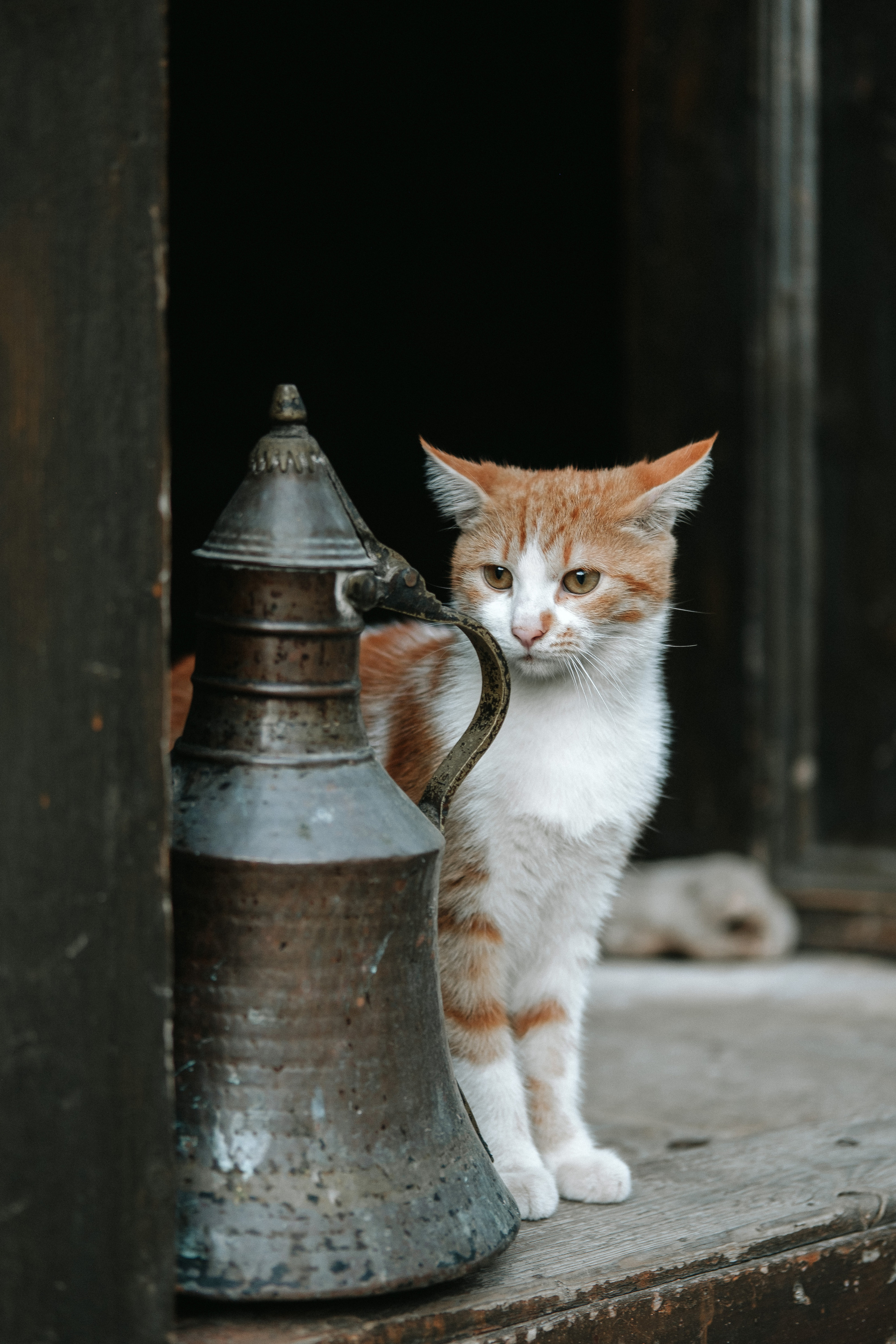 Turkey|Irina. Photographer Cyprus