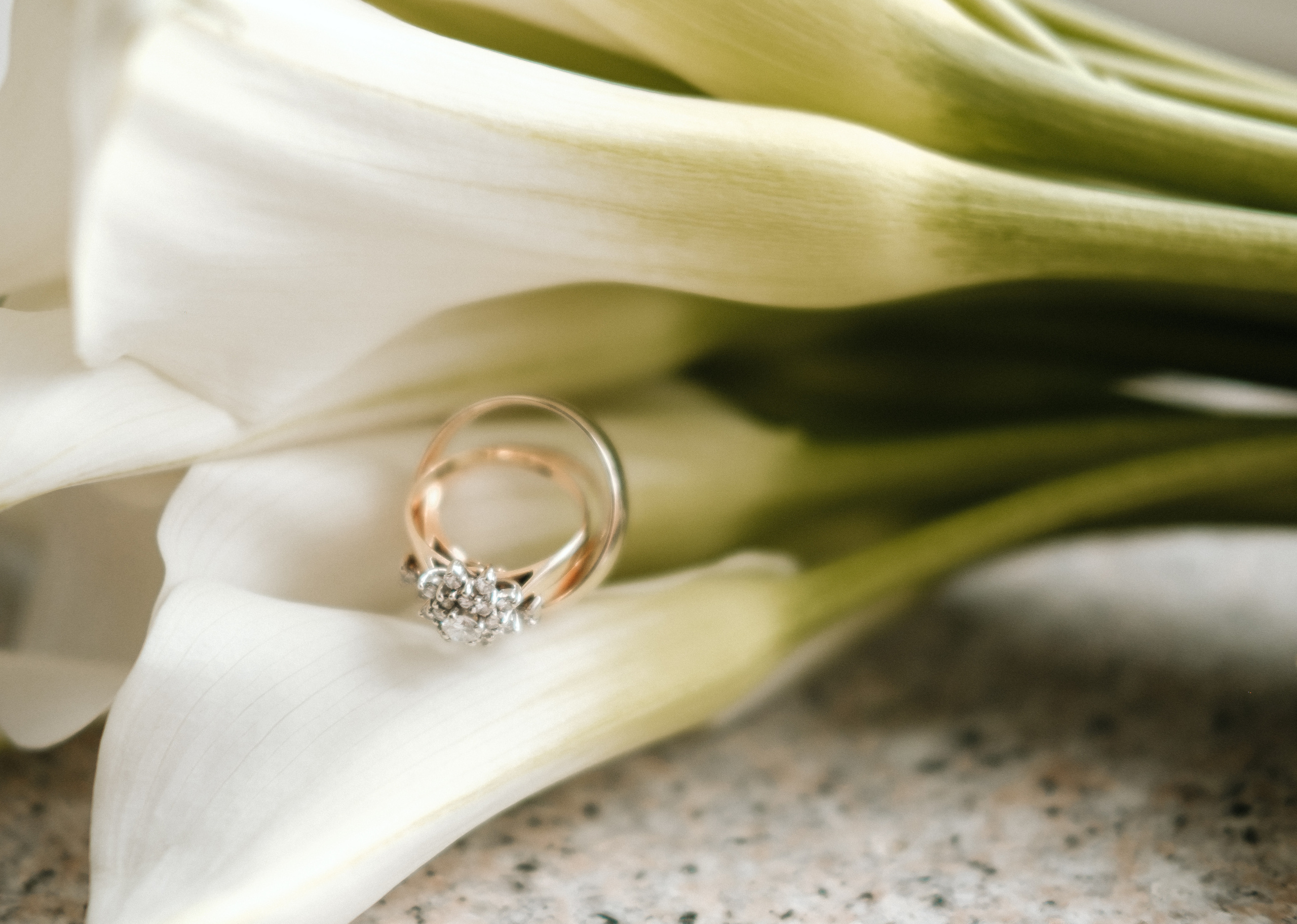 Черногория|Фэджи&Фара. Фотограф на Бали|Свадьба на Бали