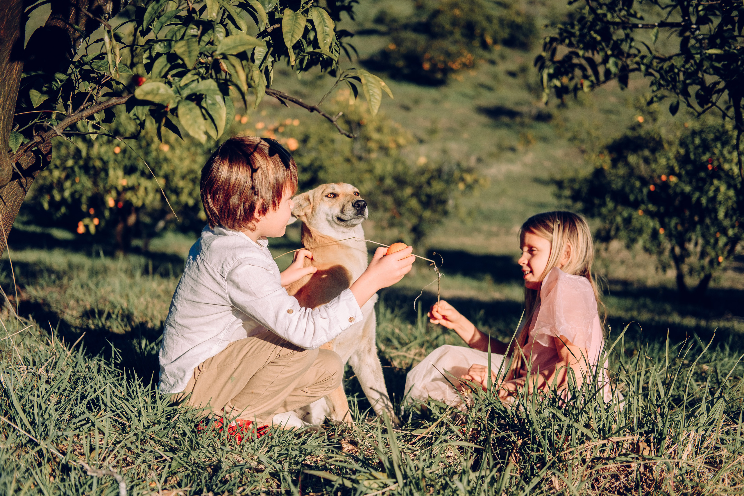 Абхазия|Мандариновый рай. Фотограф на Бали|Свадьба на Бали
