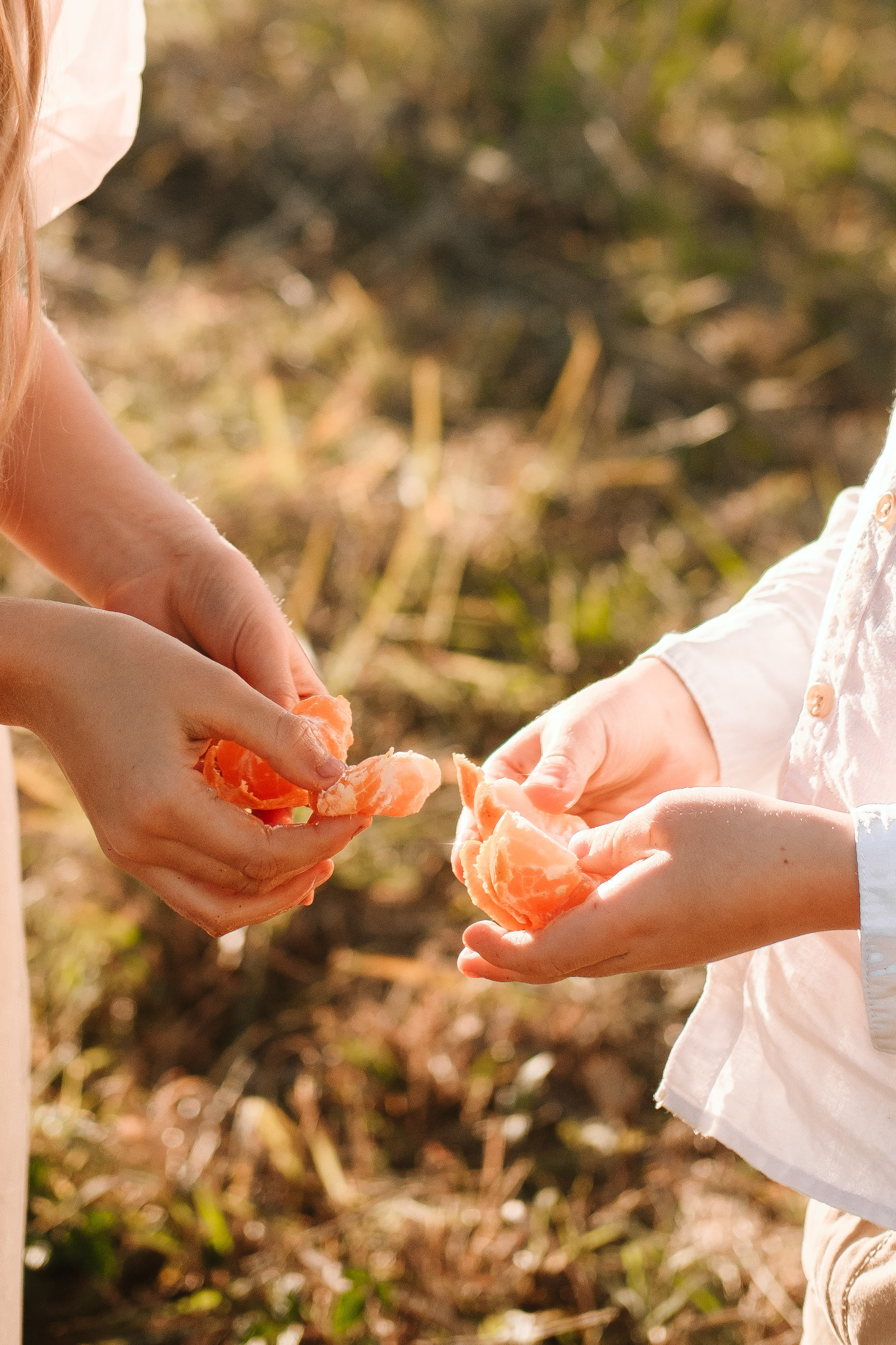 Абхазия|Мандариновый рай. Фотограф на Бали|Свадьба на Бали