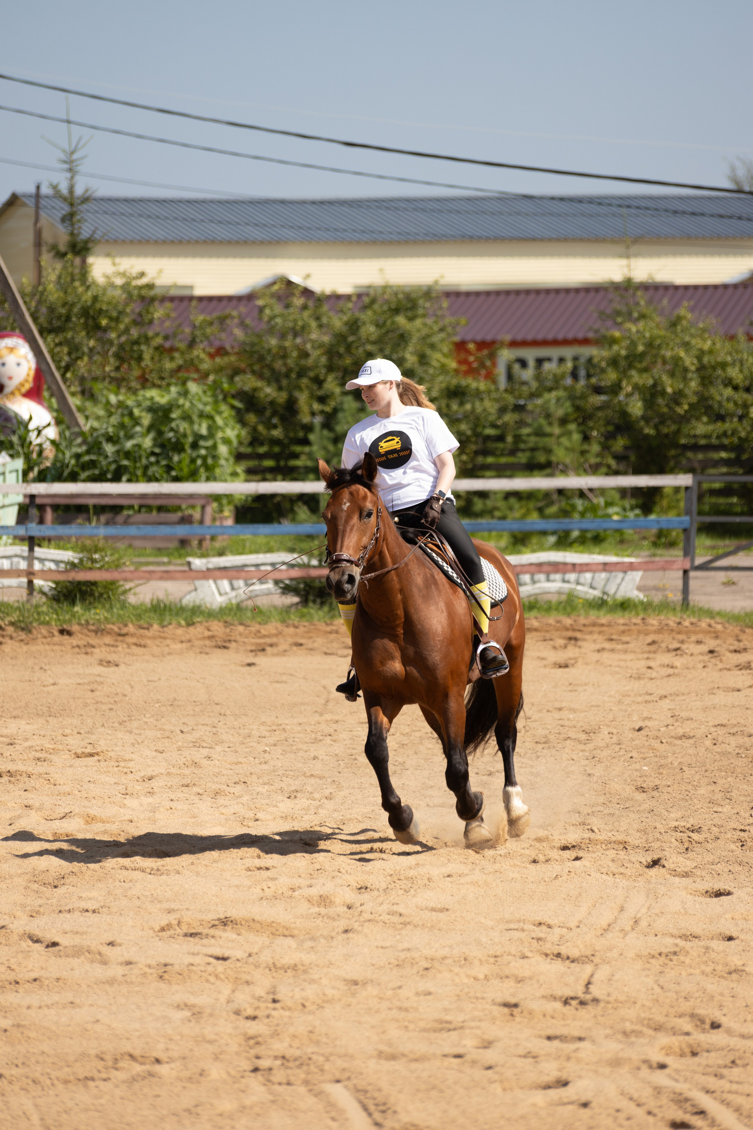 Конюшня. Фотограф в Москве и Истре