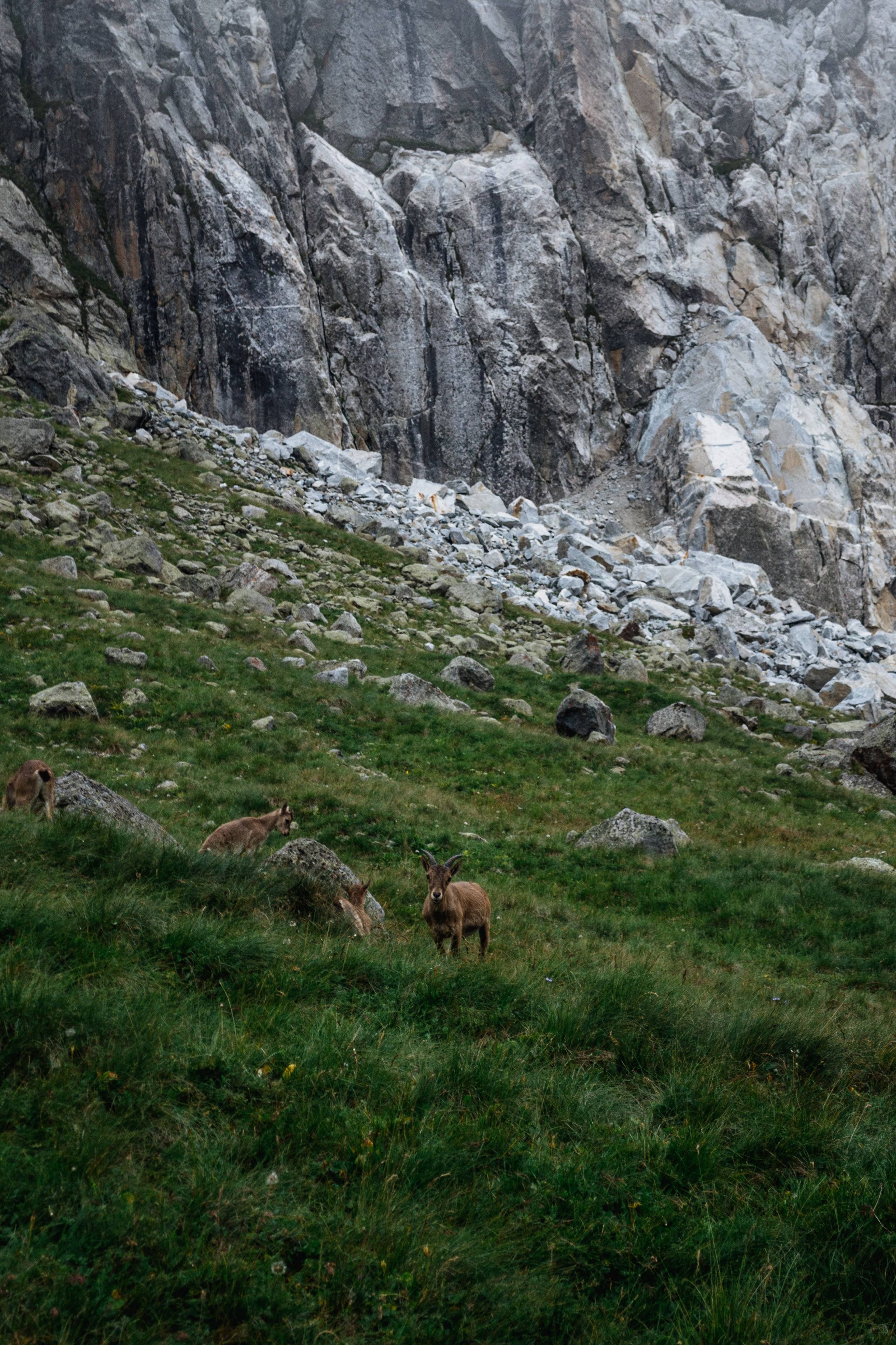 Альплагерь «Безенги». Фотограф Настя | Экспедиции и лайфстайл