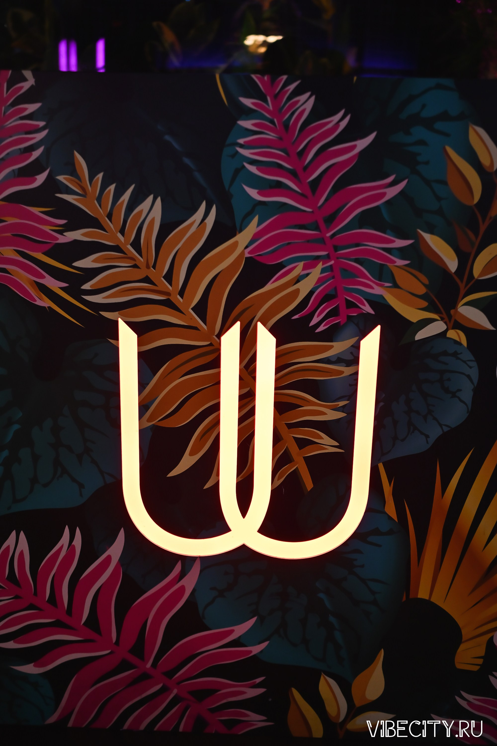 DOUBLE U. VIBECITY.RU Вайб Сити Ру Фоторепортажи Фотоотчеты Калининград