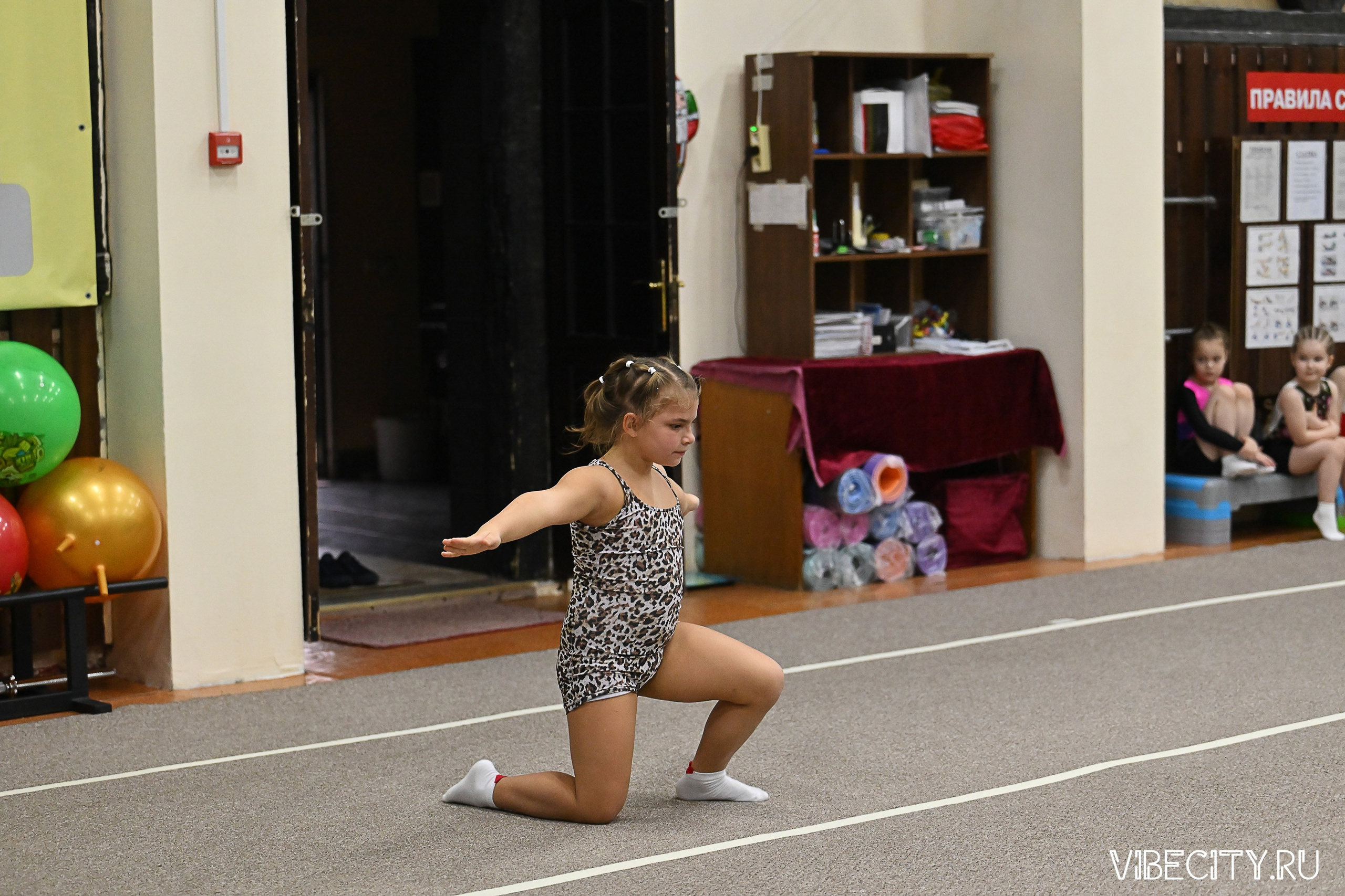 Контрольная тренировка по спортивной гимнастике. VIBECITY.RU Вайб Сити Ру Фоторепортажи Фотоотчеты Калининград