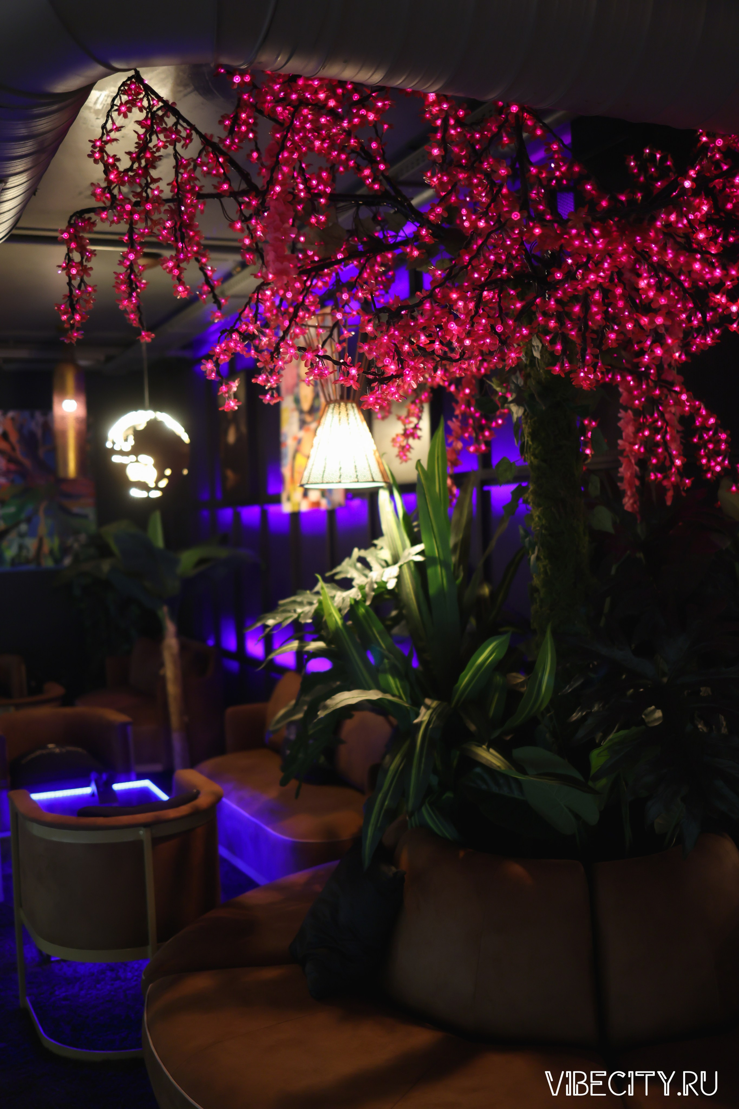 DOUBLE U. VIBECITY.RU Вайб Сити Ру Фоторепортажи Фотоотчеты Калининград