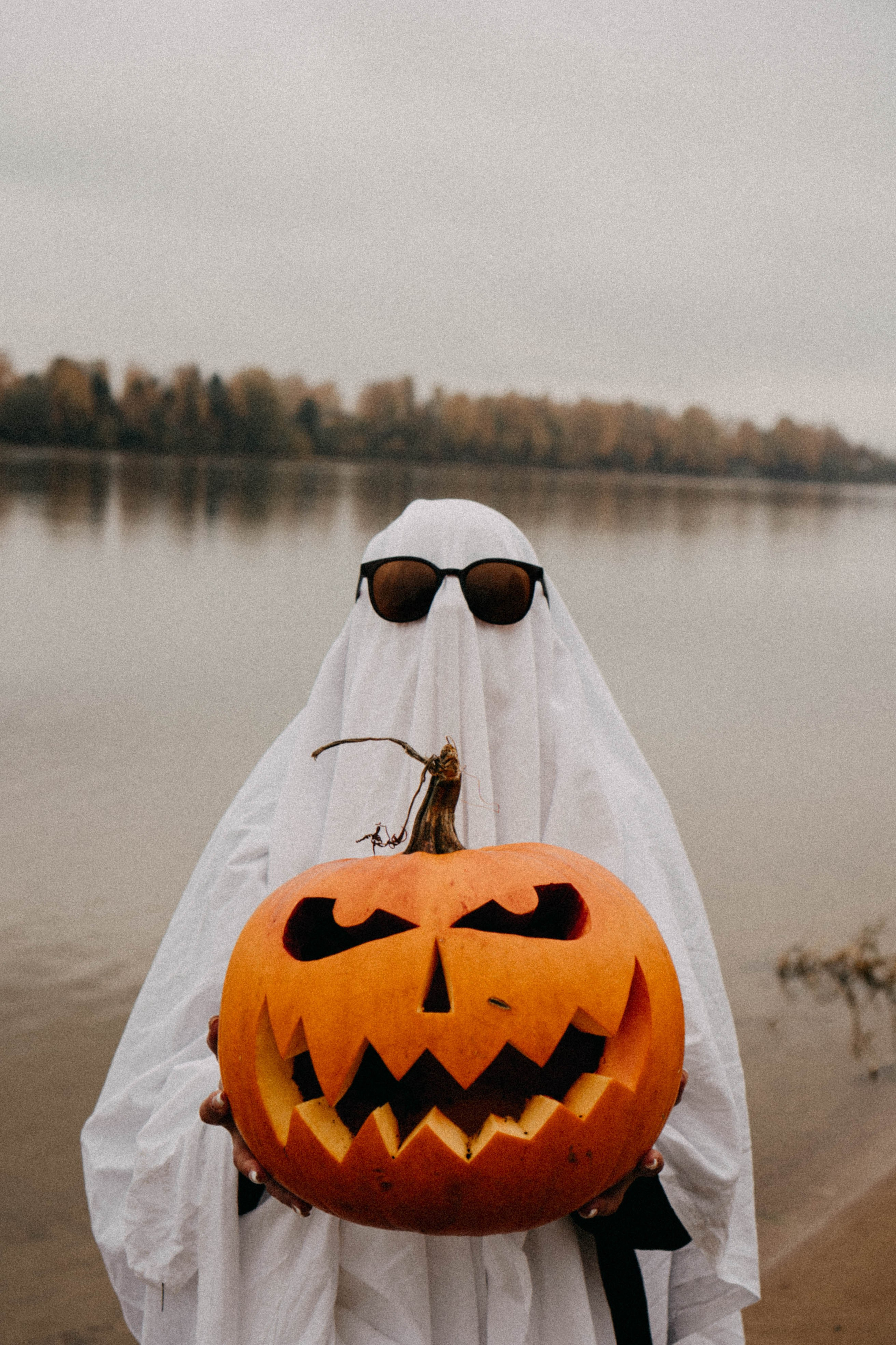 Осеняя. Профессиональный фотограф, Санкт-Петербург — Виктория Богомолова