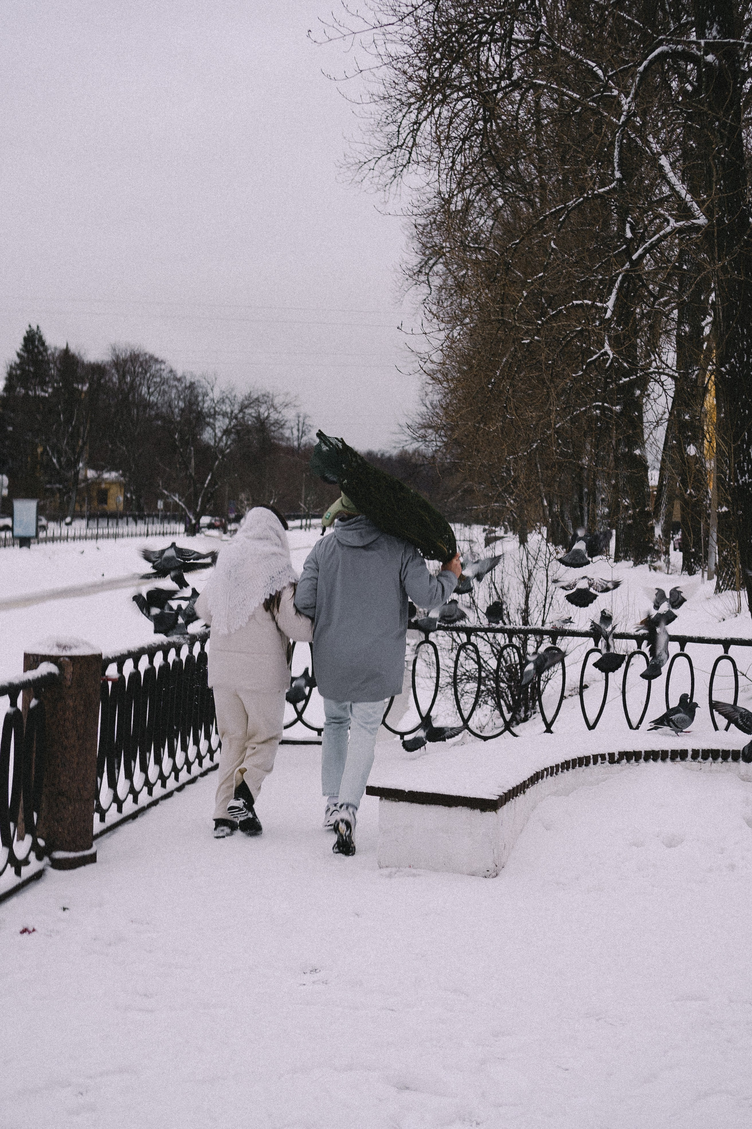 Зимняя история. Профессиональный фотограф, Санкт-Петербург — Виктория Богомолова