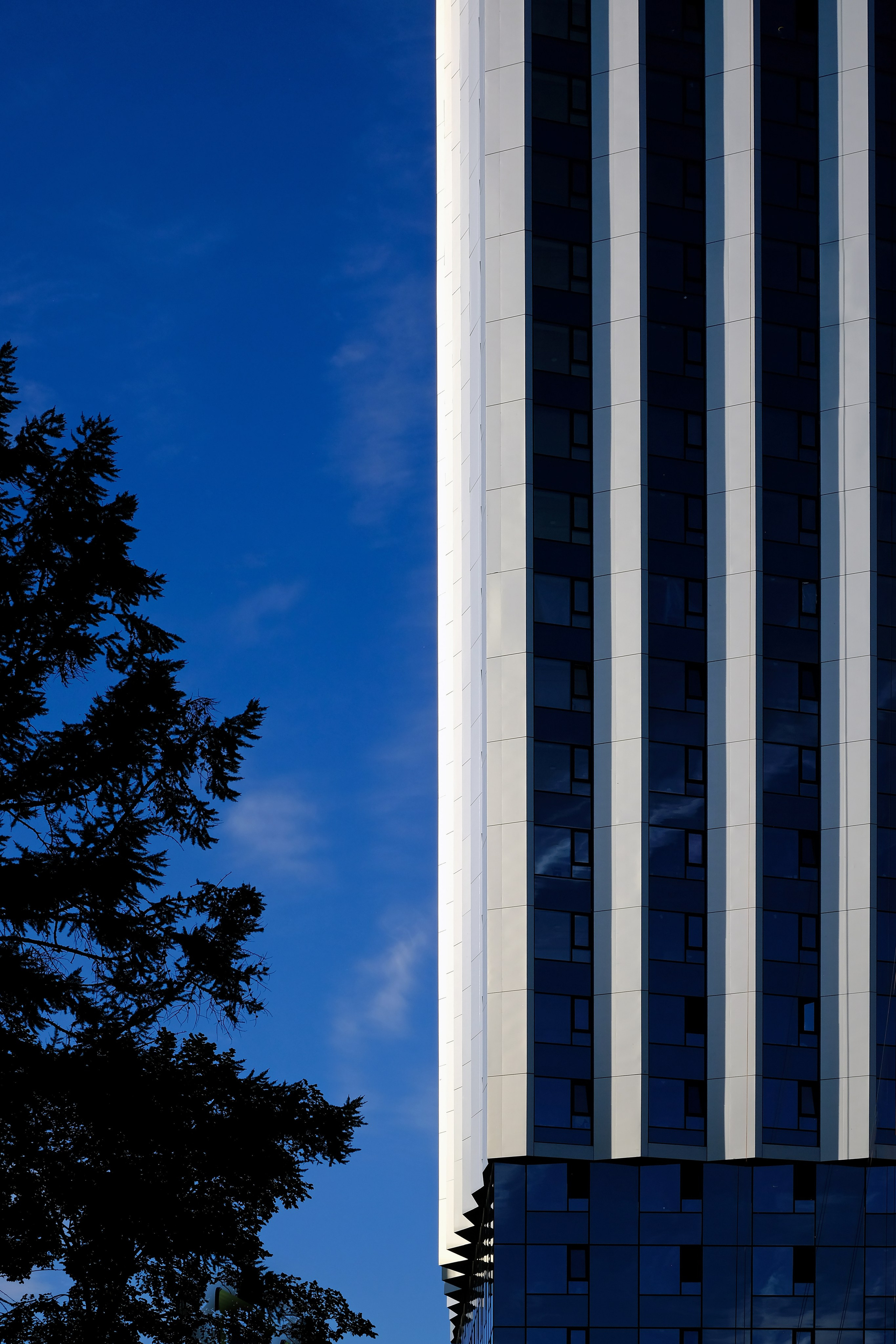 Residential Complex Moments Msk. Интерьерный архитектурный фотограф | interior architectural photographer