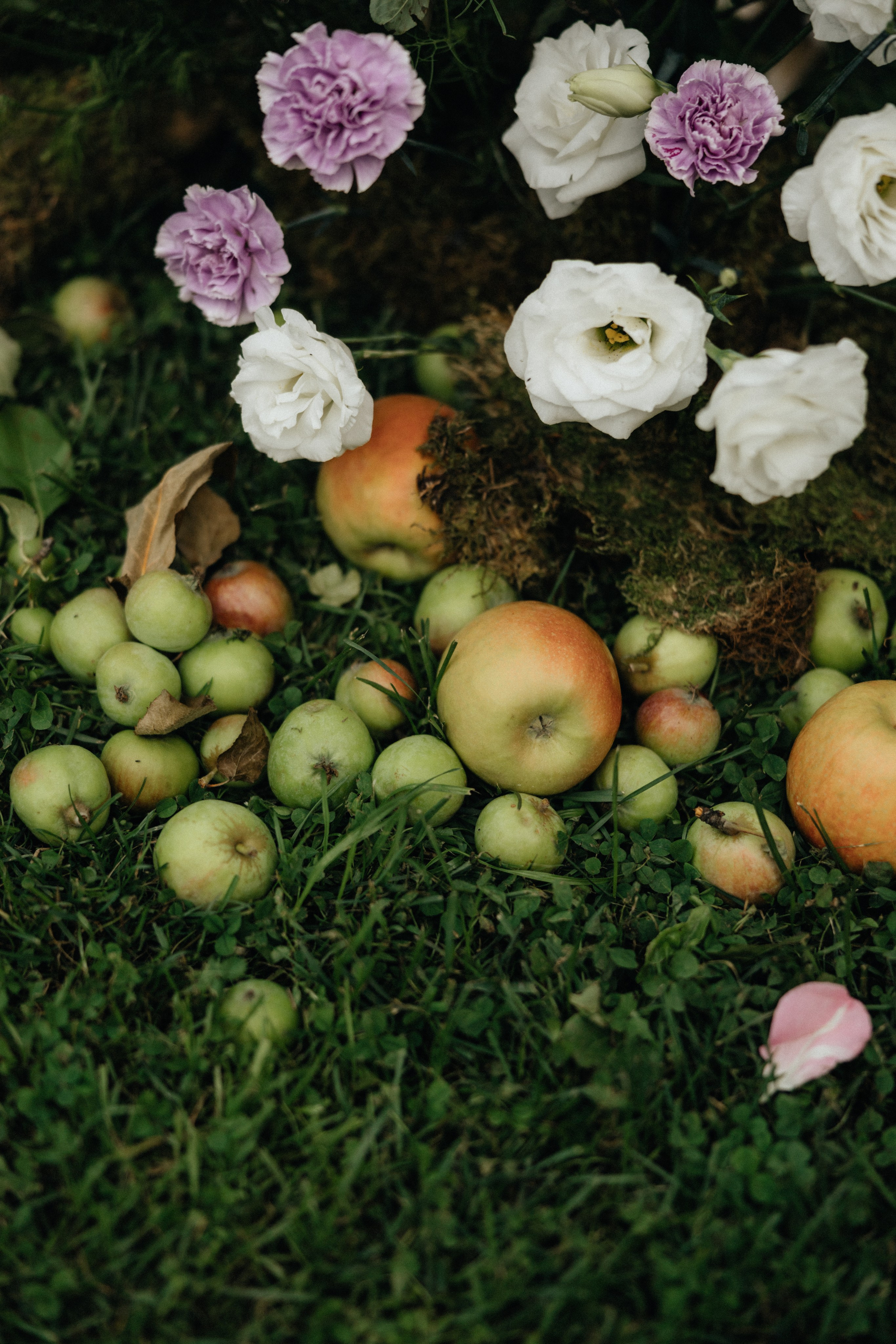 Север-юг. Фотограф Санкт-Петербург