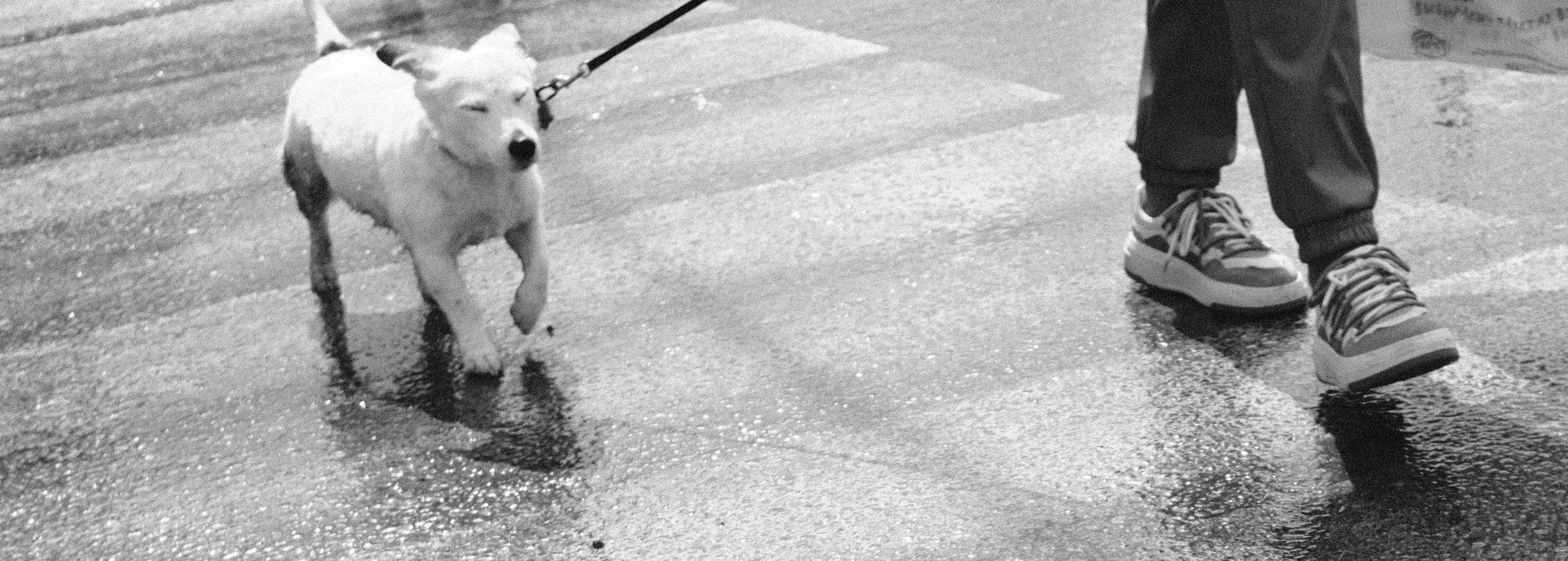 ЧБ. Фотограф-любитель из Кирова Андрей Погребняк