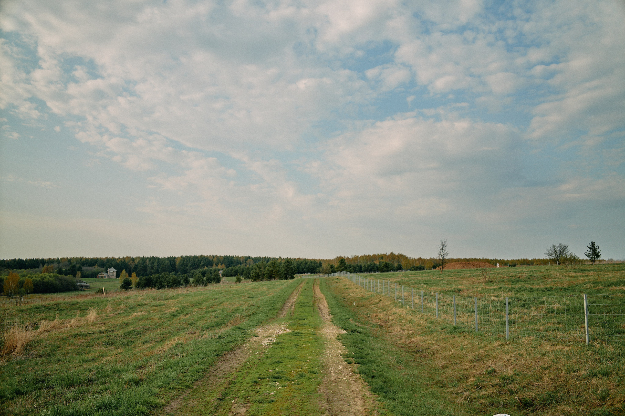 Бутик-отель Поле летом. Профессиональный Фотограф во Владимире, в Москве и в Суздале — Полина Романычева