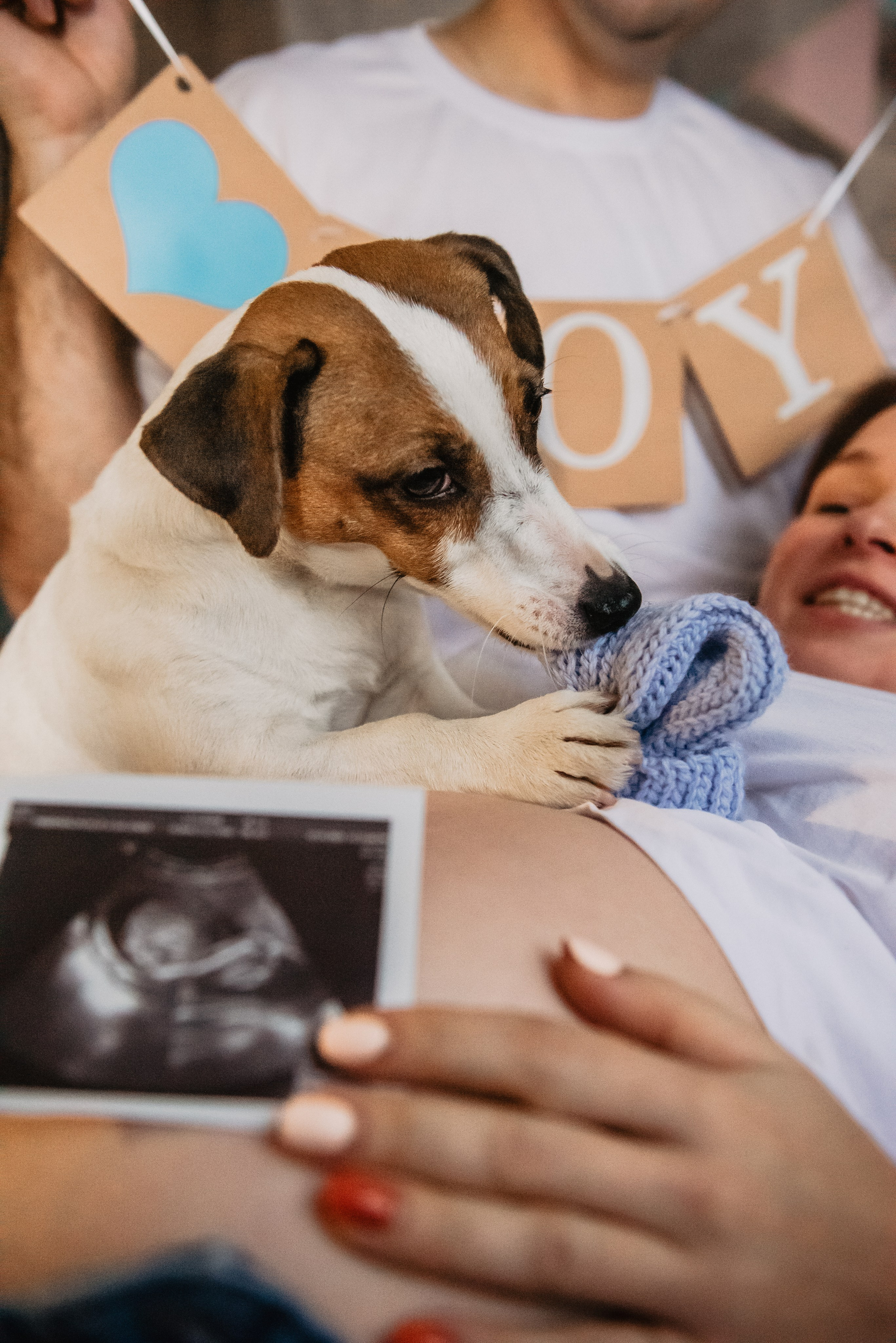 Братик или сестричка?. Семейный Фотограф в Москве Ирина Хохлова