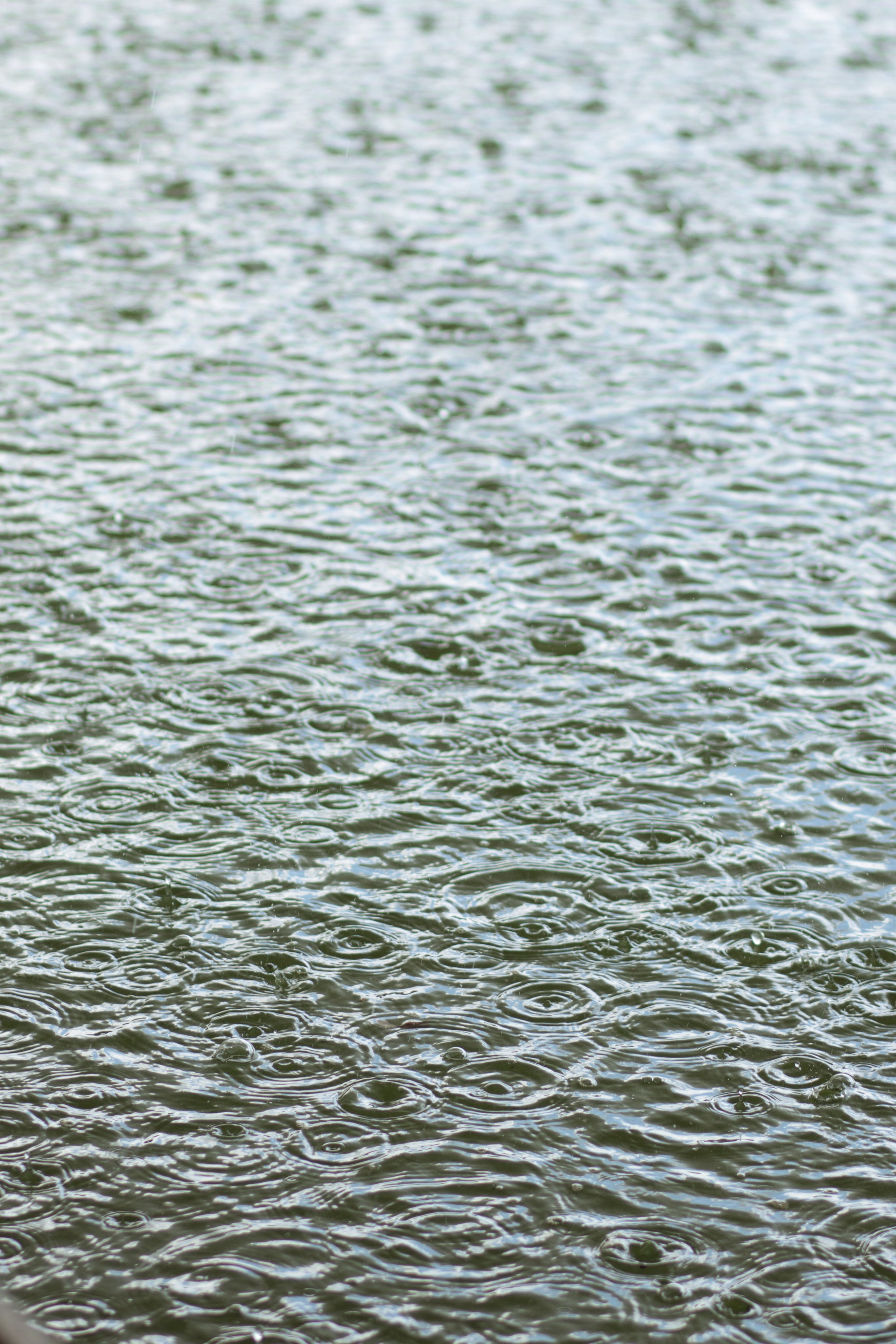 Алина & Андрей. Оформление свадеб, декор свадеб Вера Маркова, Москва