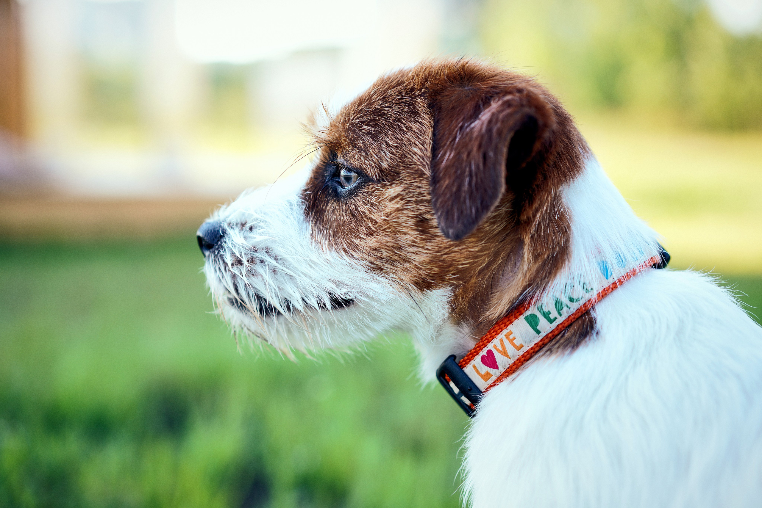 «Ты, Я и Виски». Фотограф Казань