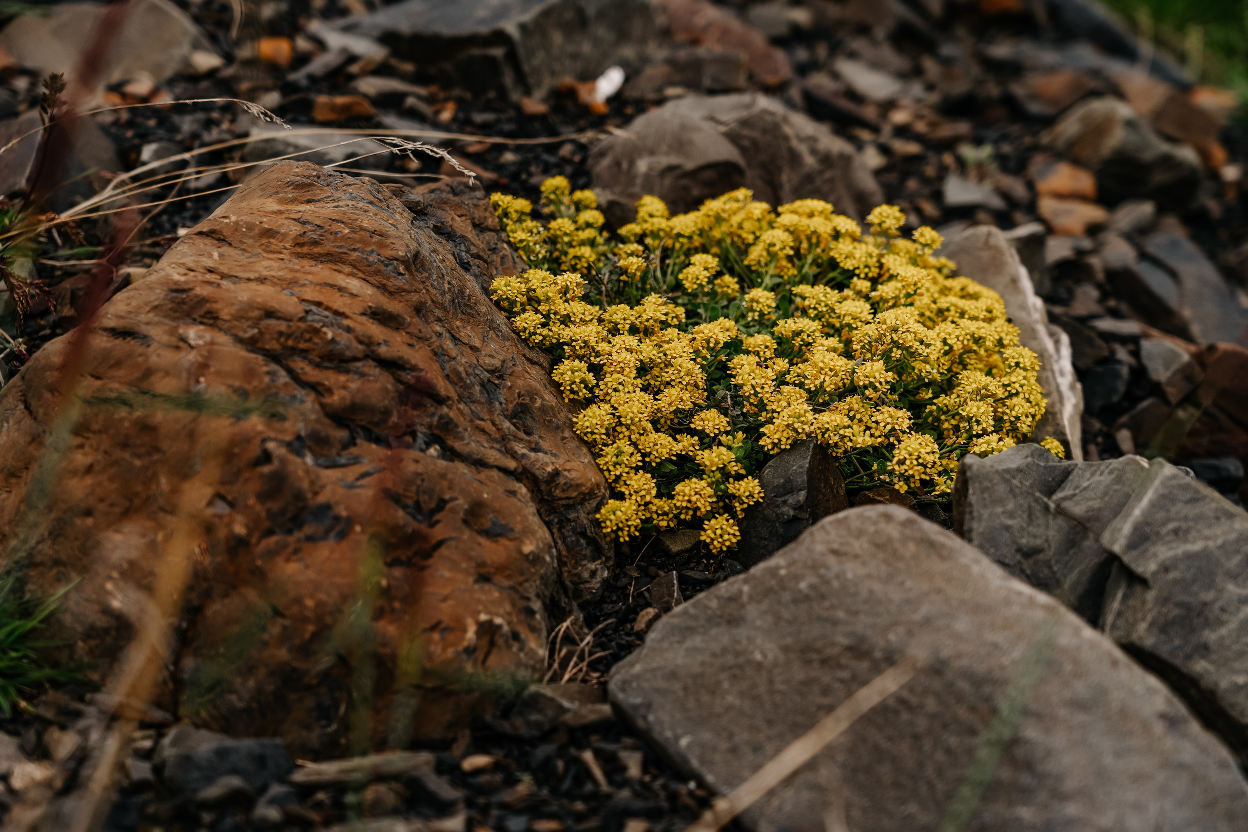 Дагестанский заповедник, Республика Дагестан. Репортажный фотограф в Крыму Ксения Гасица