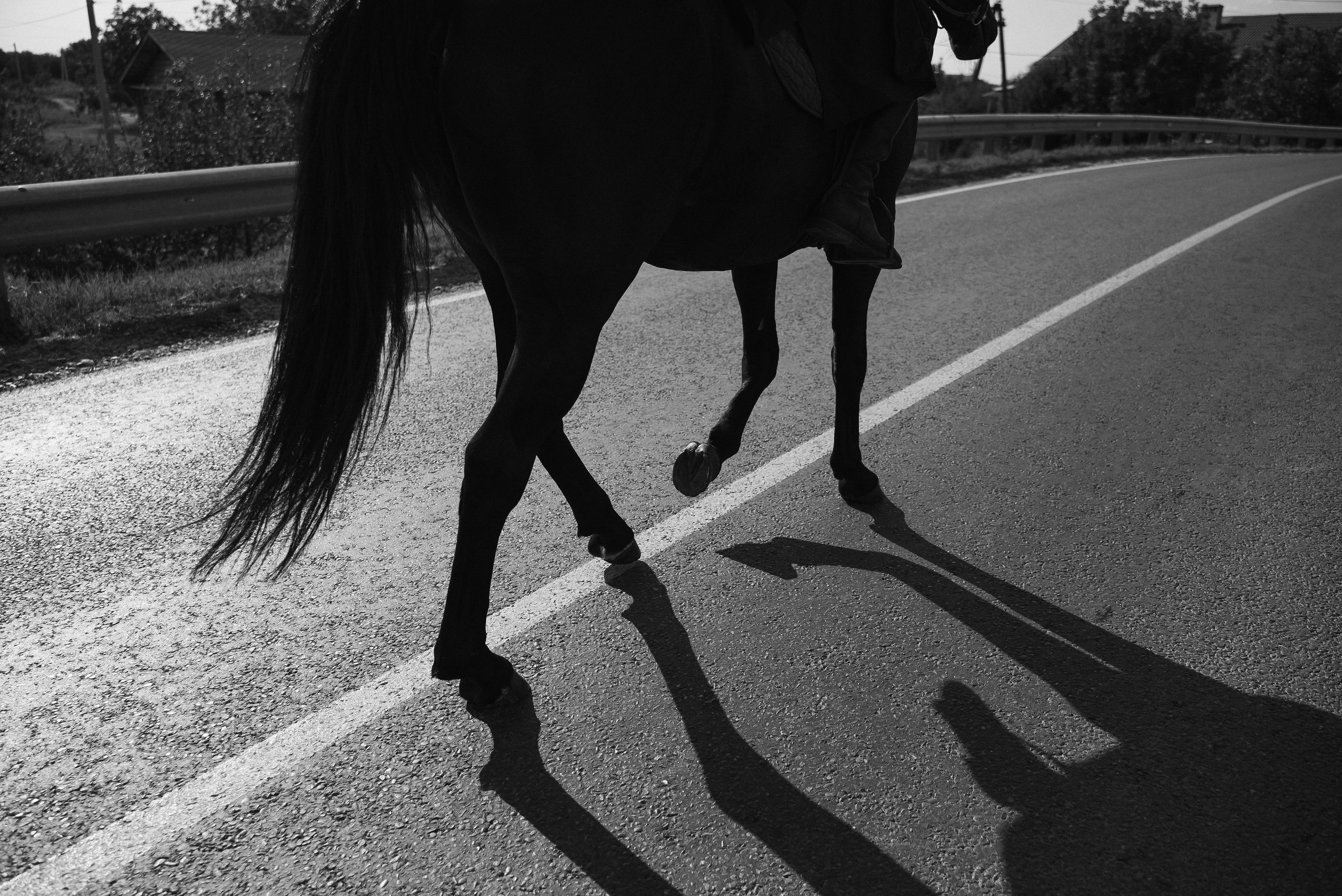 Руслан & Заира. Фотограф в Краснодарском крае Александр Шульга