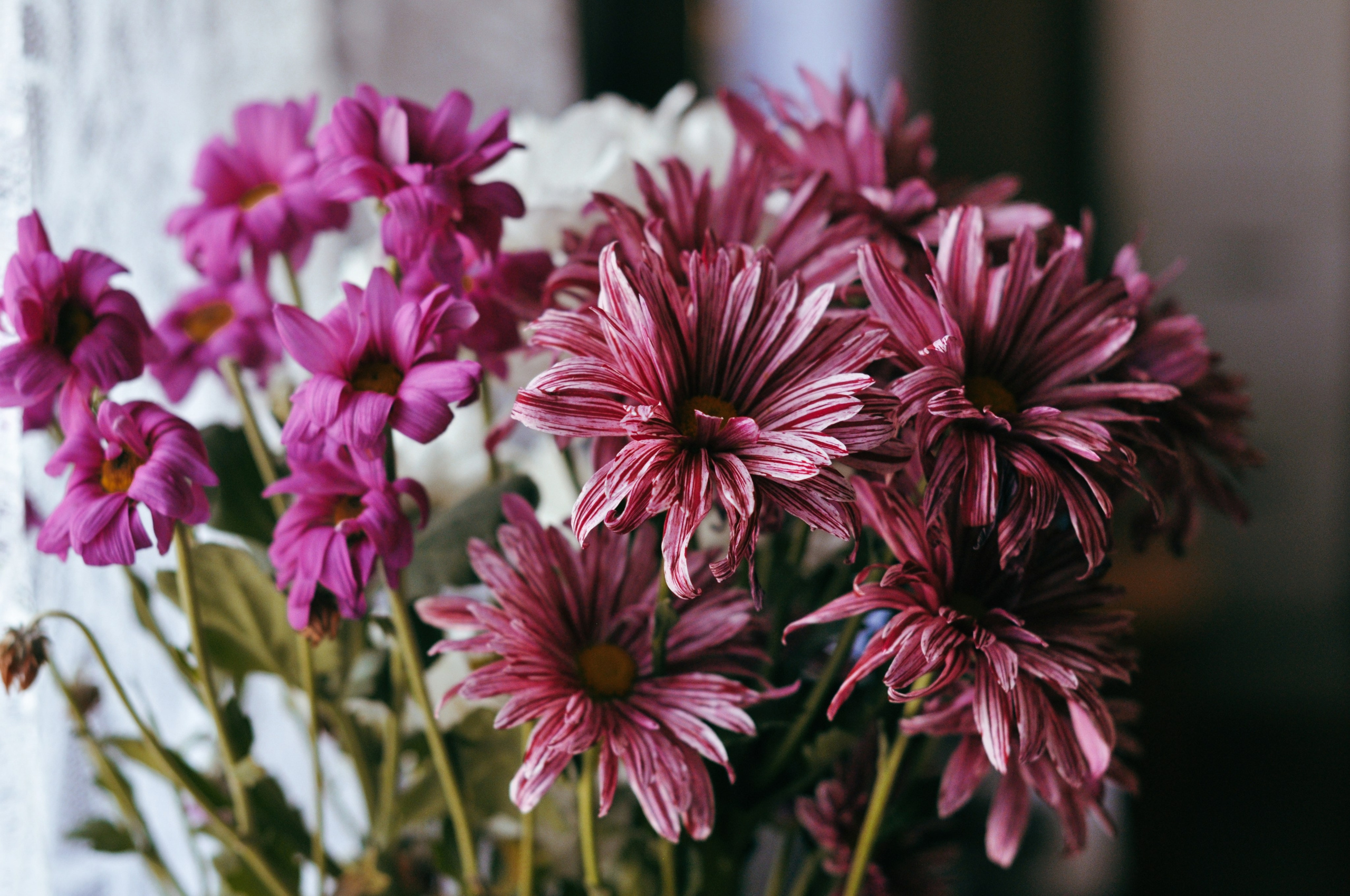 Landscape фото. Фотограф и художник Kerry Moore