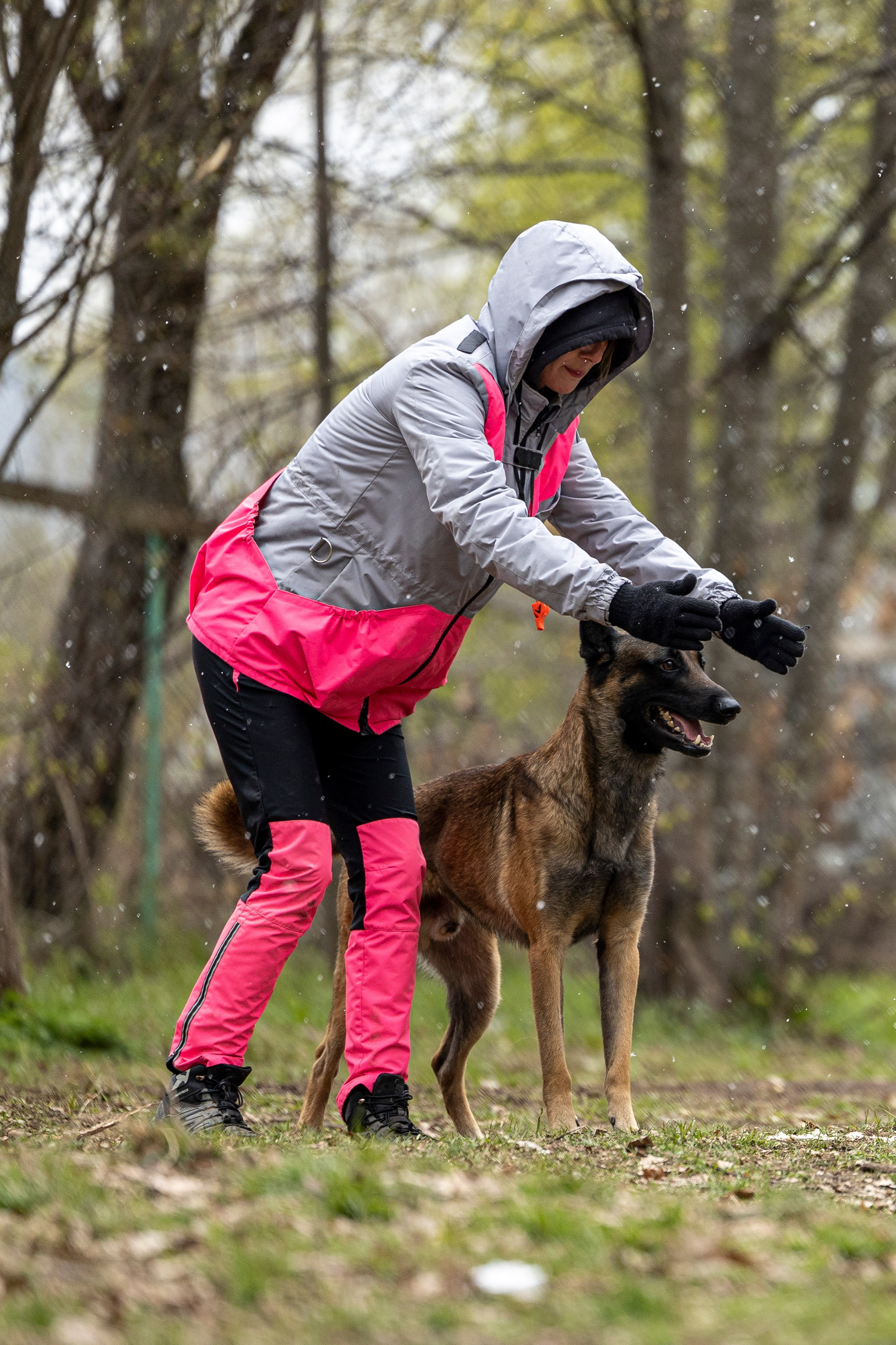 Квалификационные состязания по мондьорингу г. Вологда 11.05.24. Фотограф-анималист Анна Маринич
