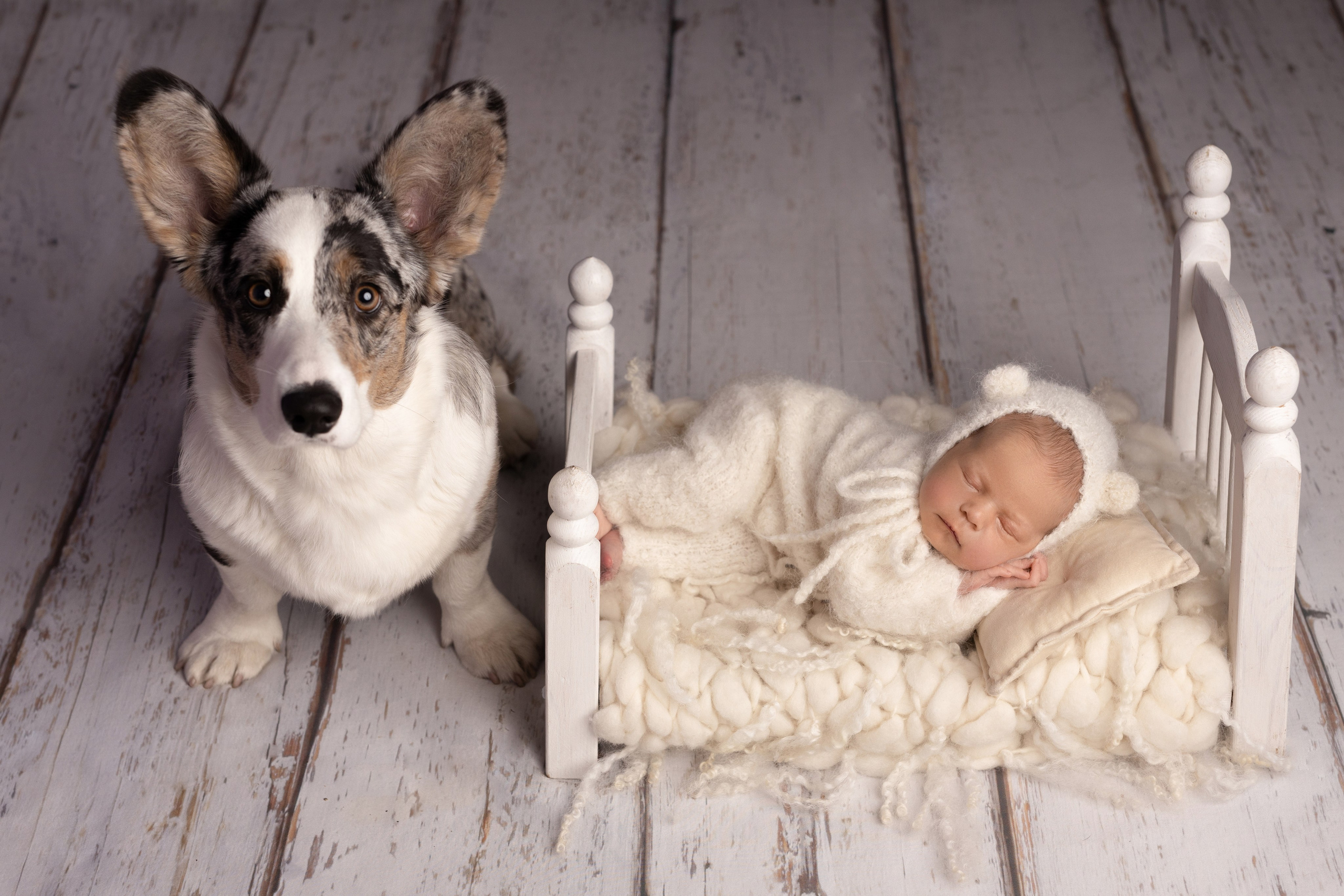 Фотограф новорожденных | Екатерина | Портфолио и цены | Съемка в студии и дома. Фотограф уникального направления ньюборн в Москве Екатерина Буценина