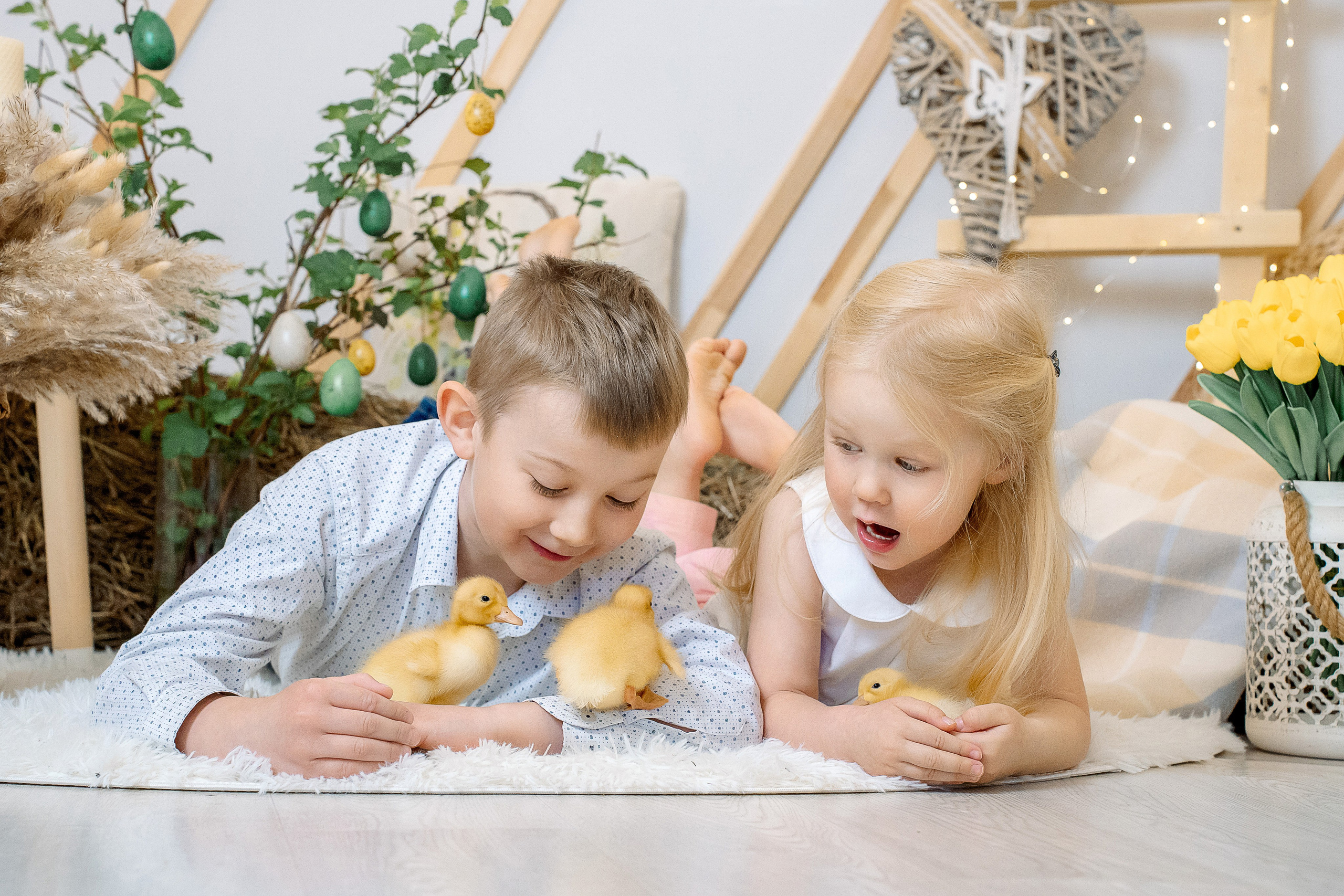 Утята. Фотограф Казакова Анастасия